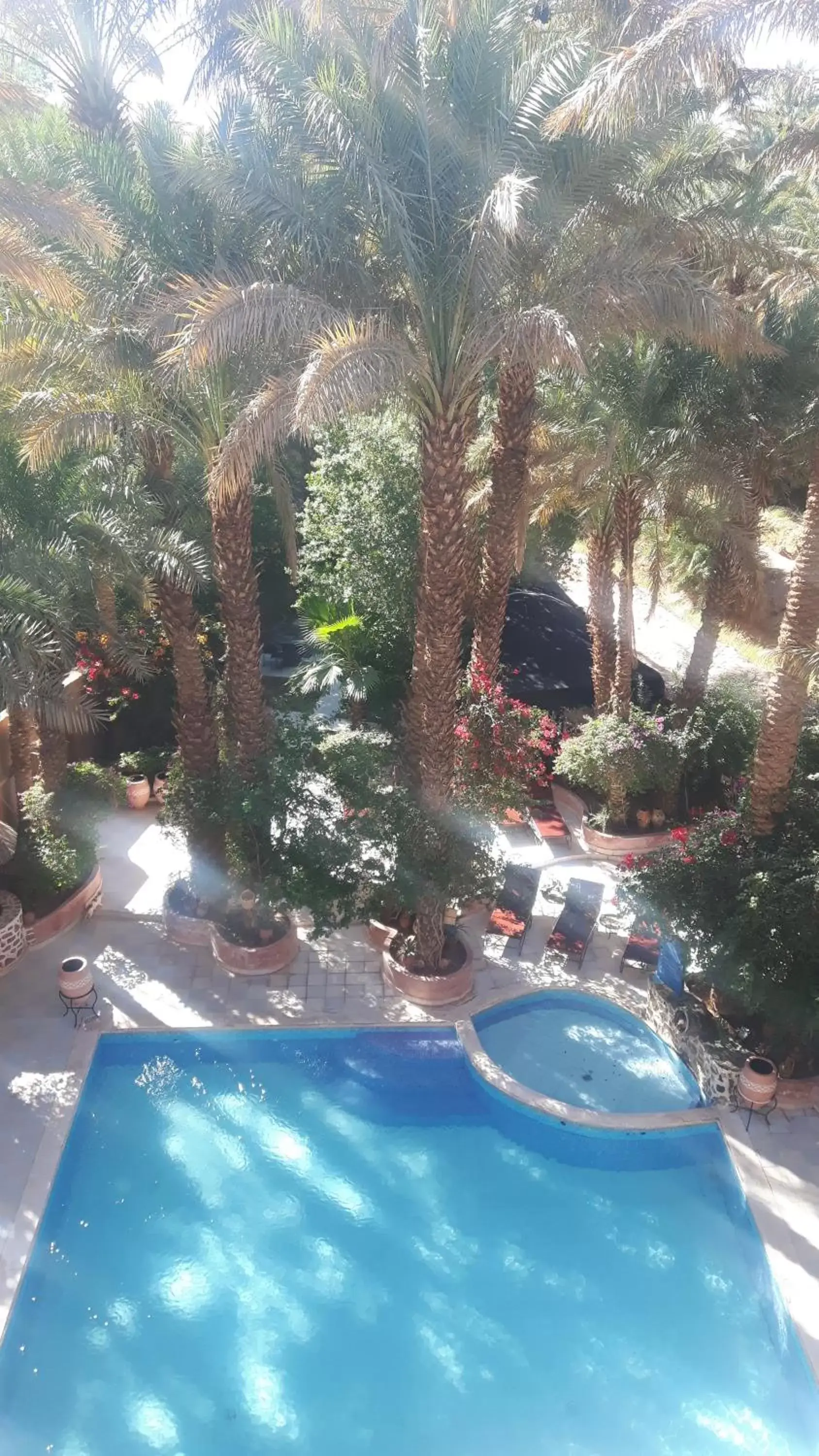Garden, Pool View in Kasbah Sirocco