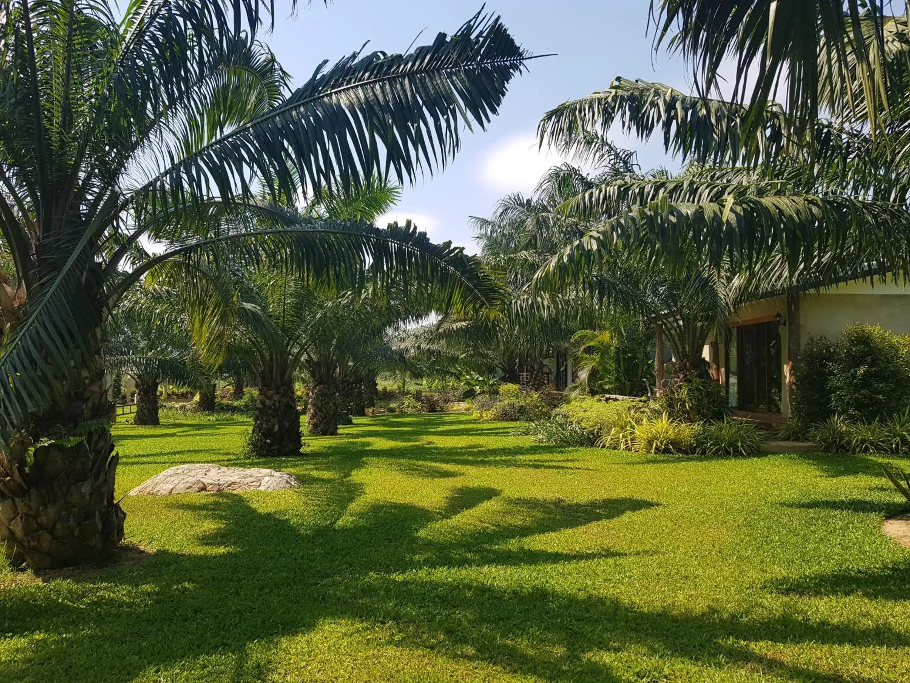 Garden view, Garden in Palm Pran Resort