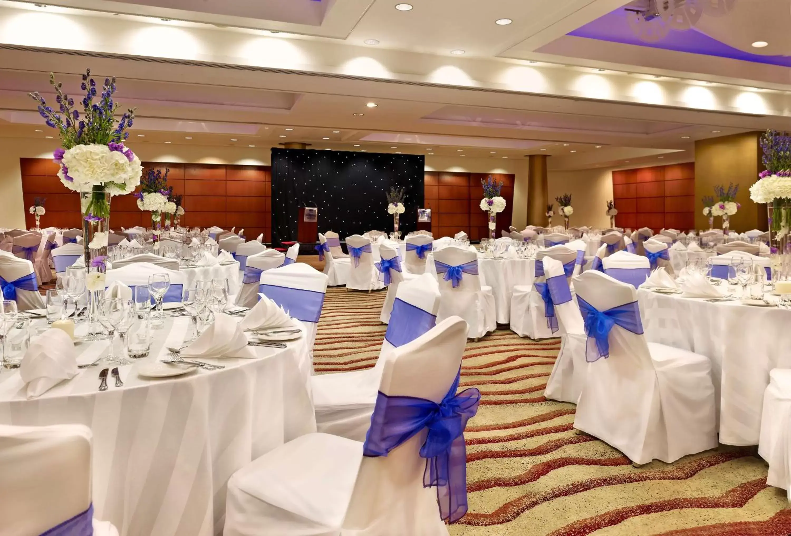 Meeting/conference room, Banquet Facilities in Park Plaza Victoria London