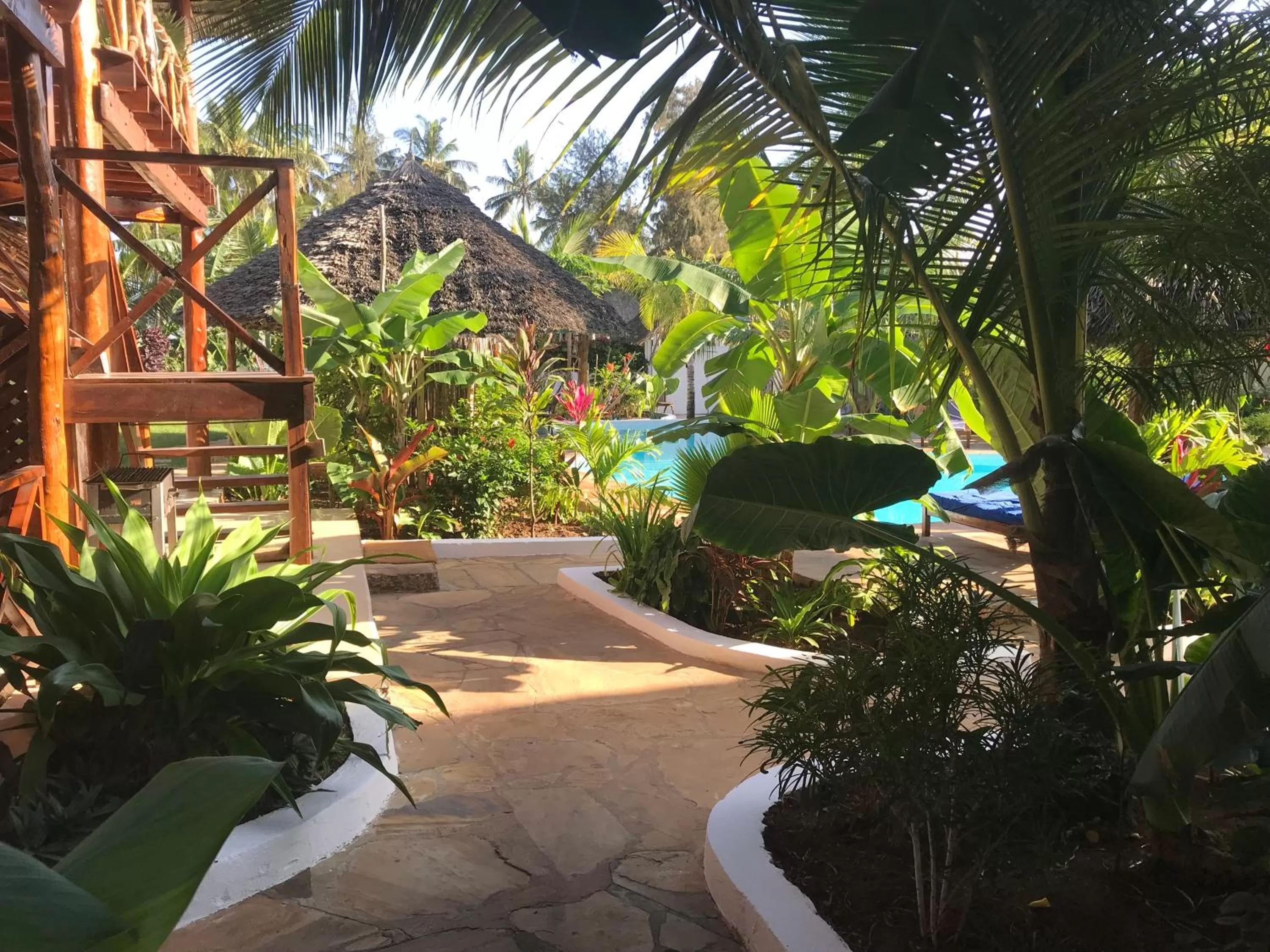 Garden in Aluna Nungwi