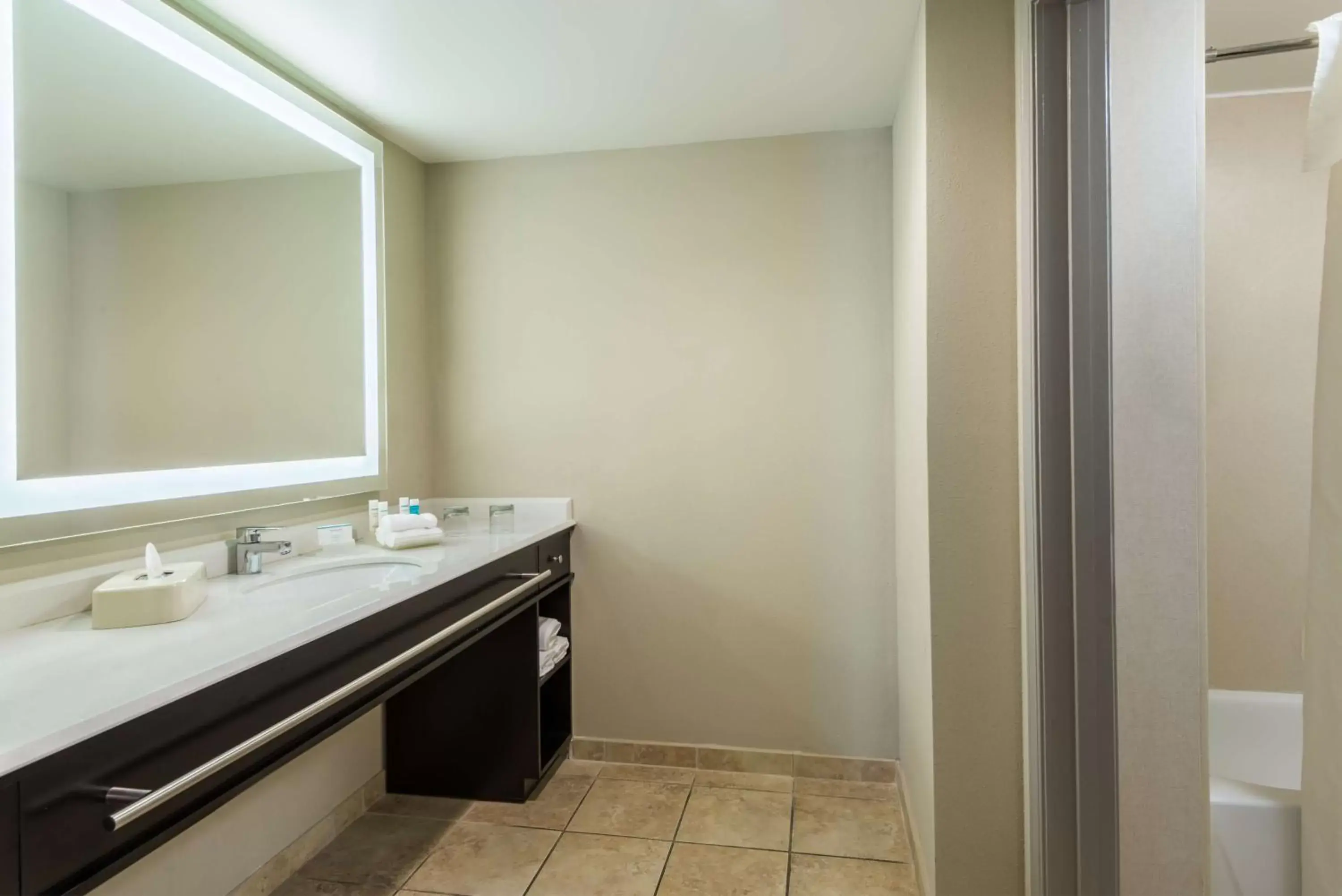 Bathroom in Homewood Suites by Hilton St. Louis Riverport- Airport West