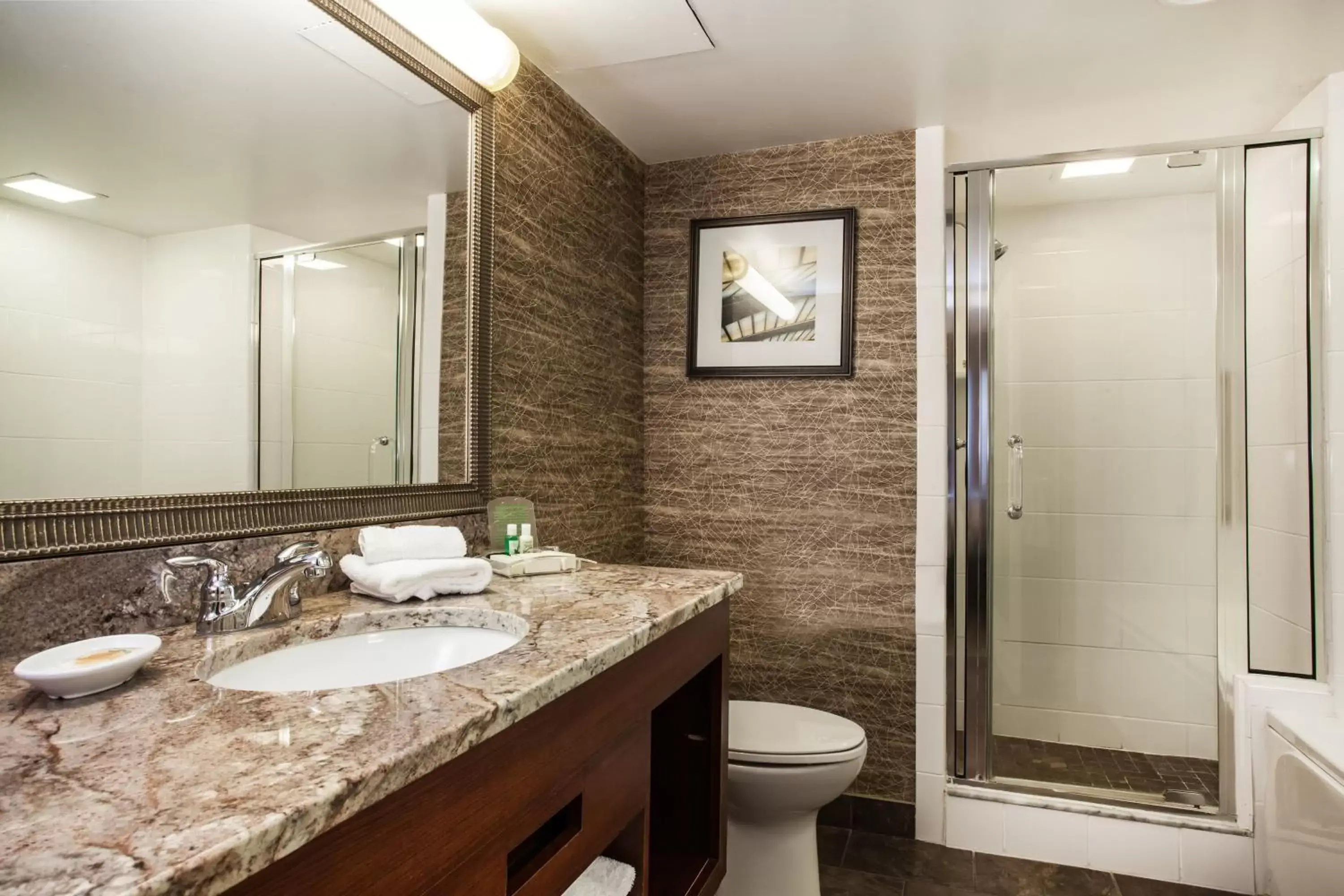 Bathroom in Holiday Inn Saratoga Springs, an IHG Hotel