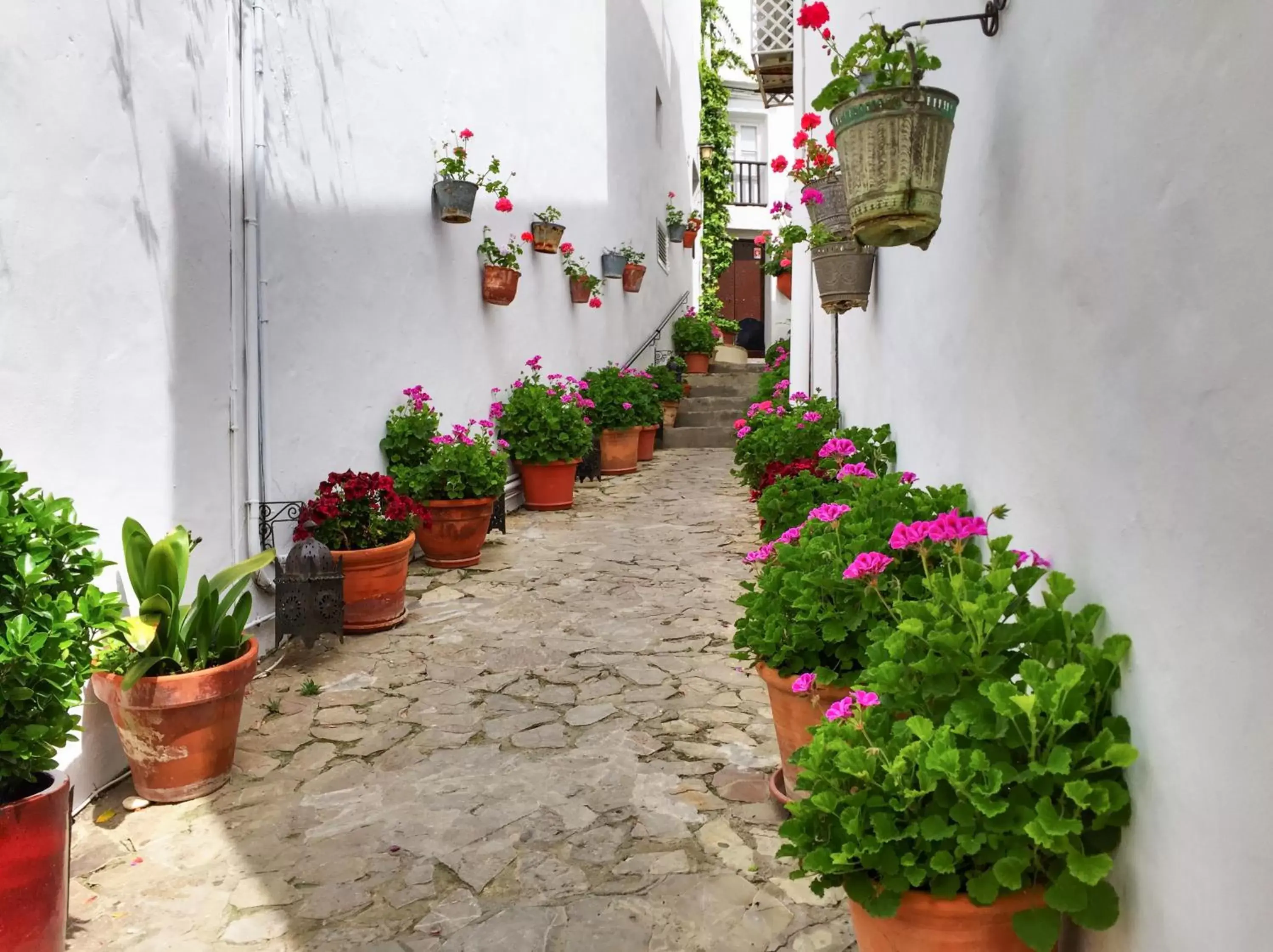 Area and facilities in Hotel La Casa del Califa