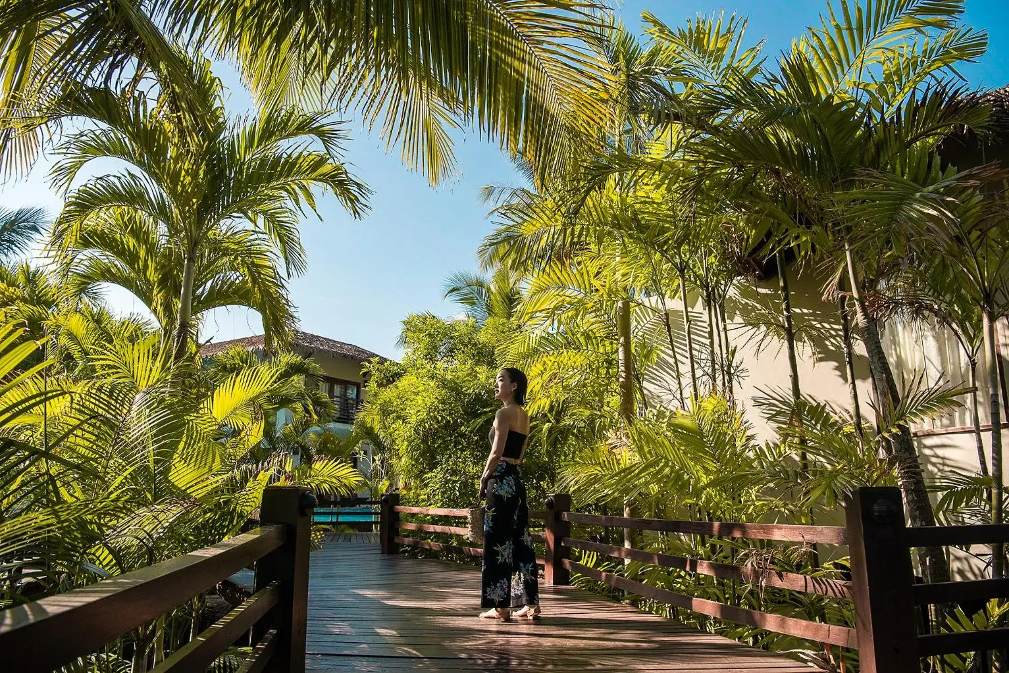 View (from property/room) in The Haven Khao Lak - SHA Extra Plus