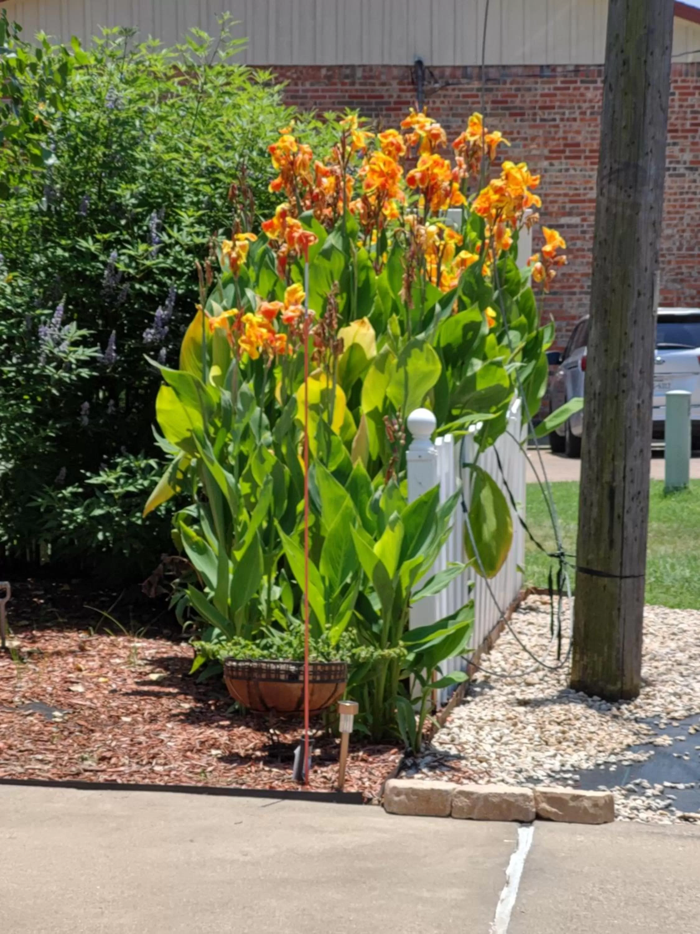 Garden in Granbury Gardens Bed and Breakfast