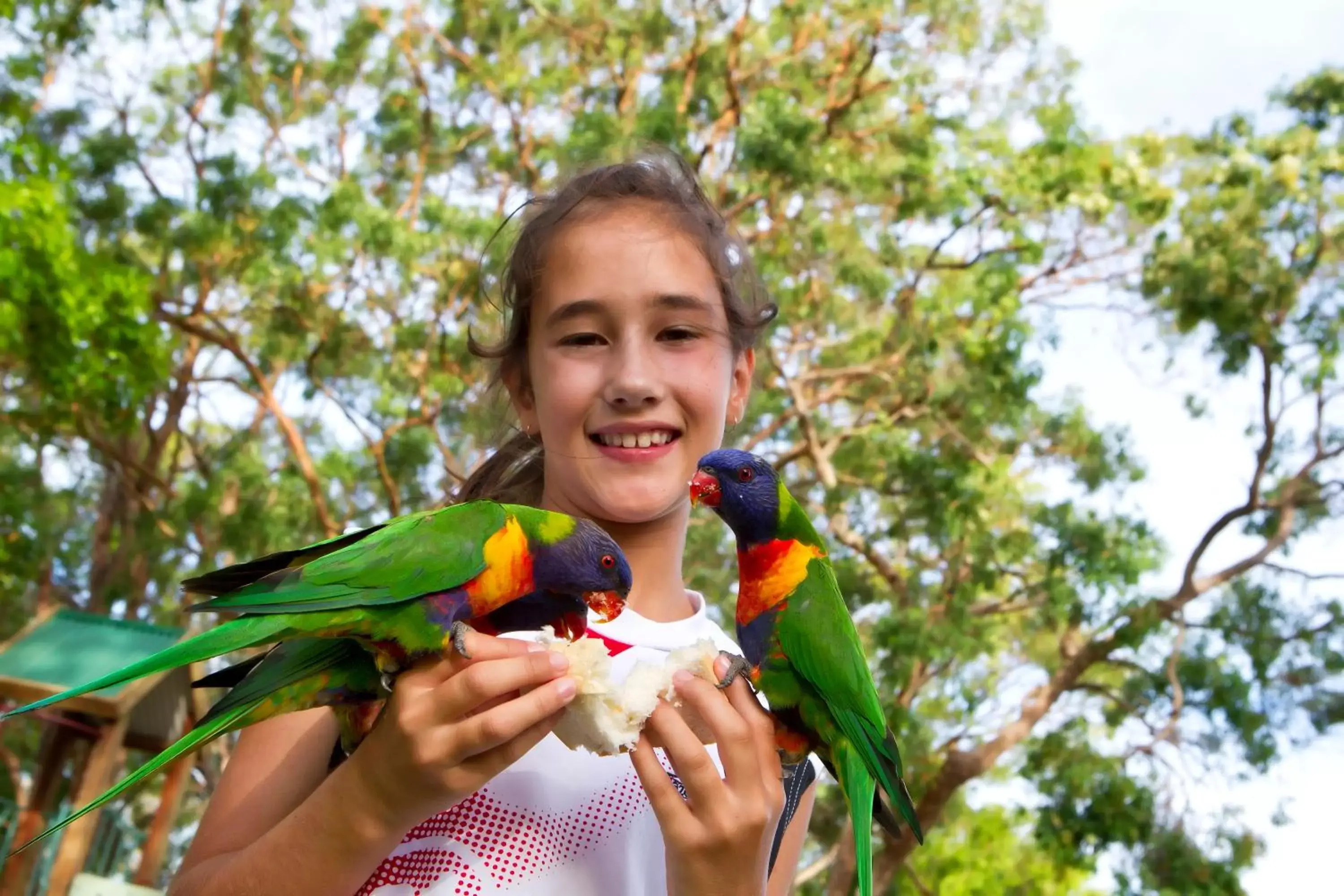 People in Noosa North Shore Retreat