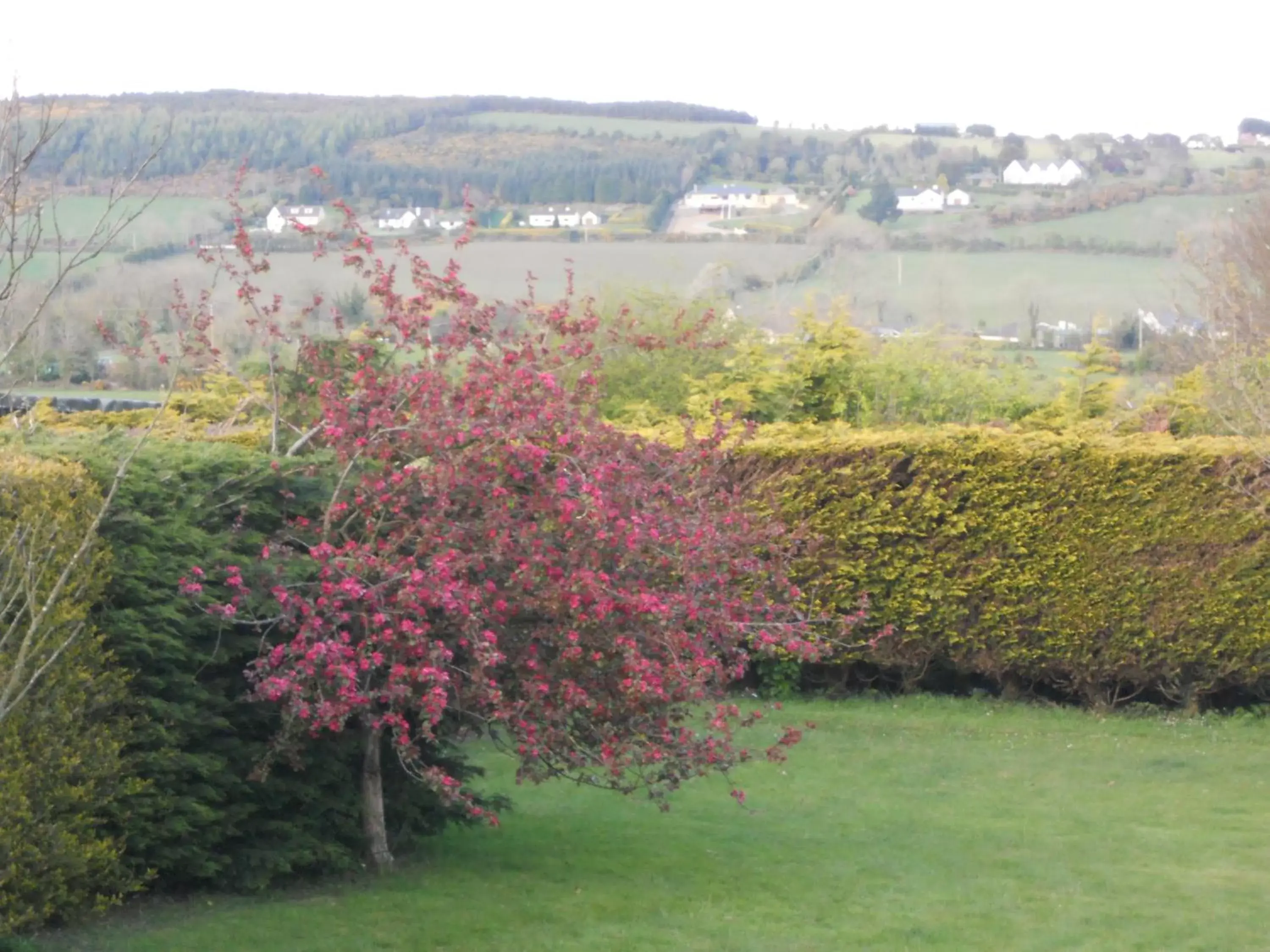 Garden in Rhu Glenn Hotel