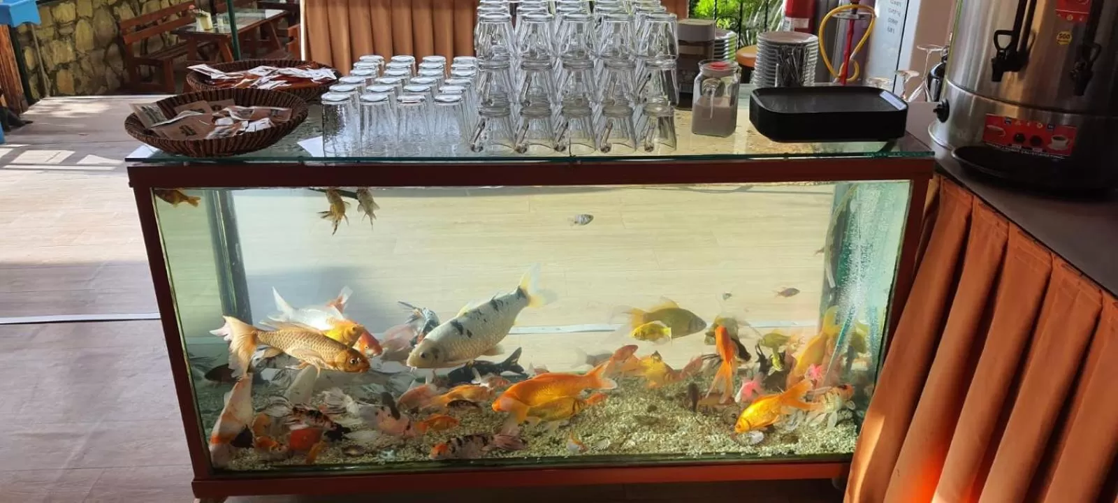 Restaurant/places to eat in Grand Yayla Hotel