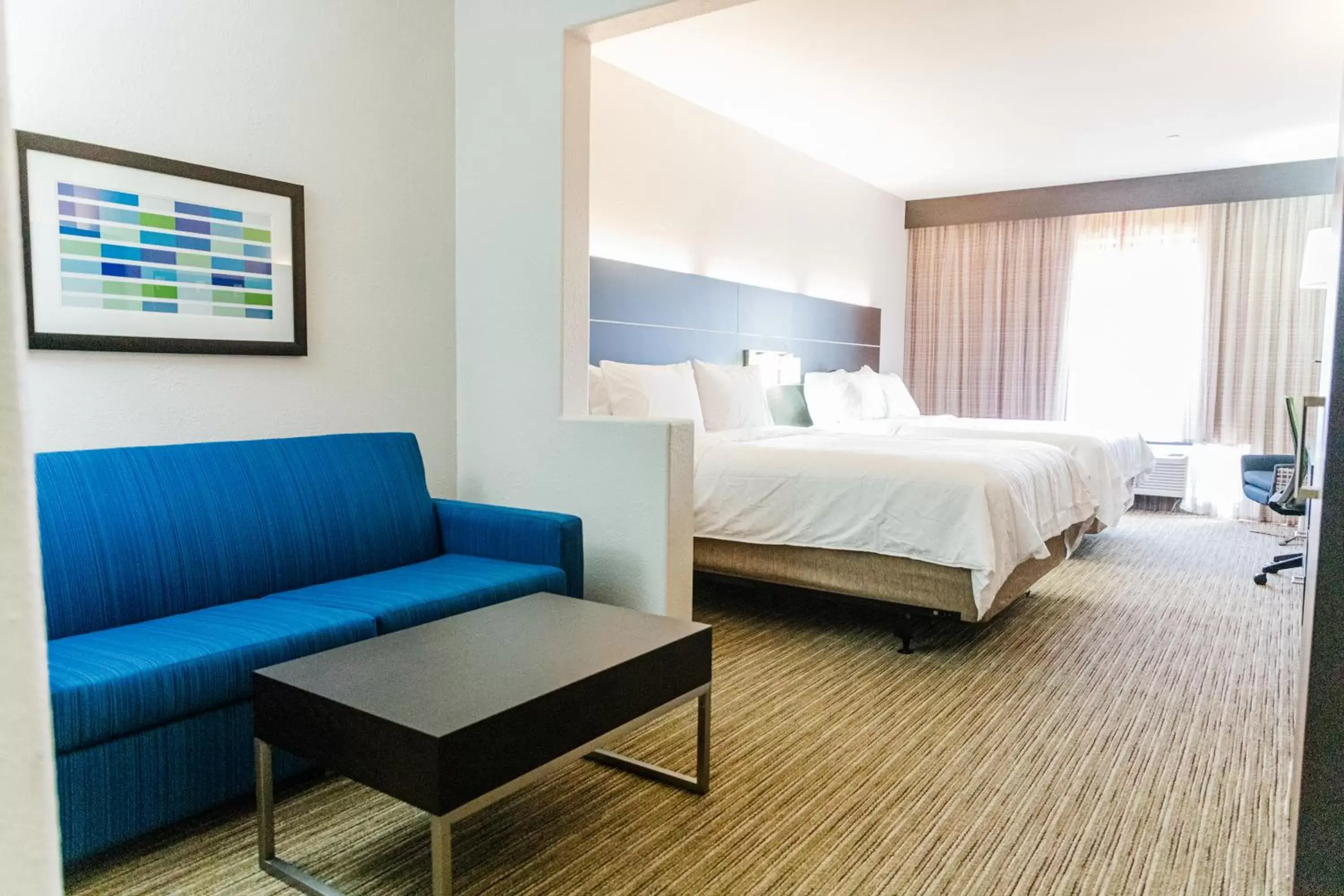 Photo of the whole room in Holiday Inn Express Hotel & Suites Greenville, an IHG Hotel