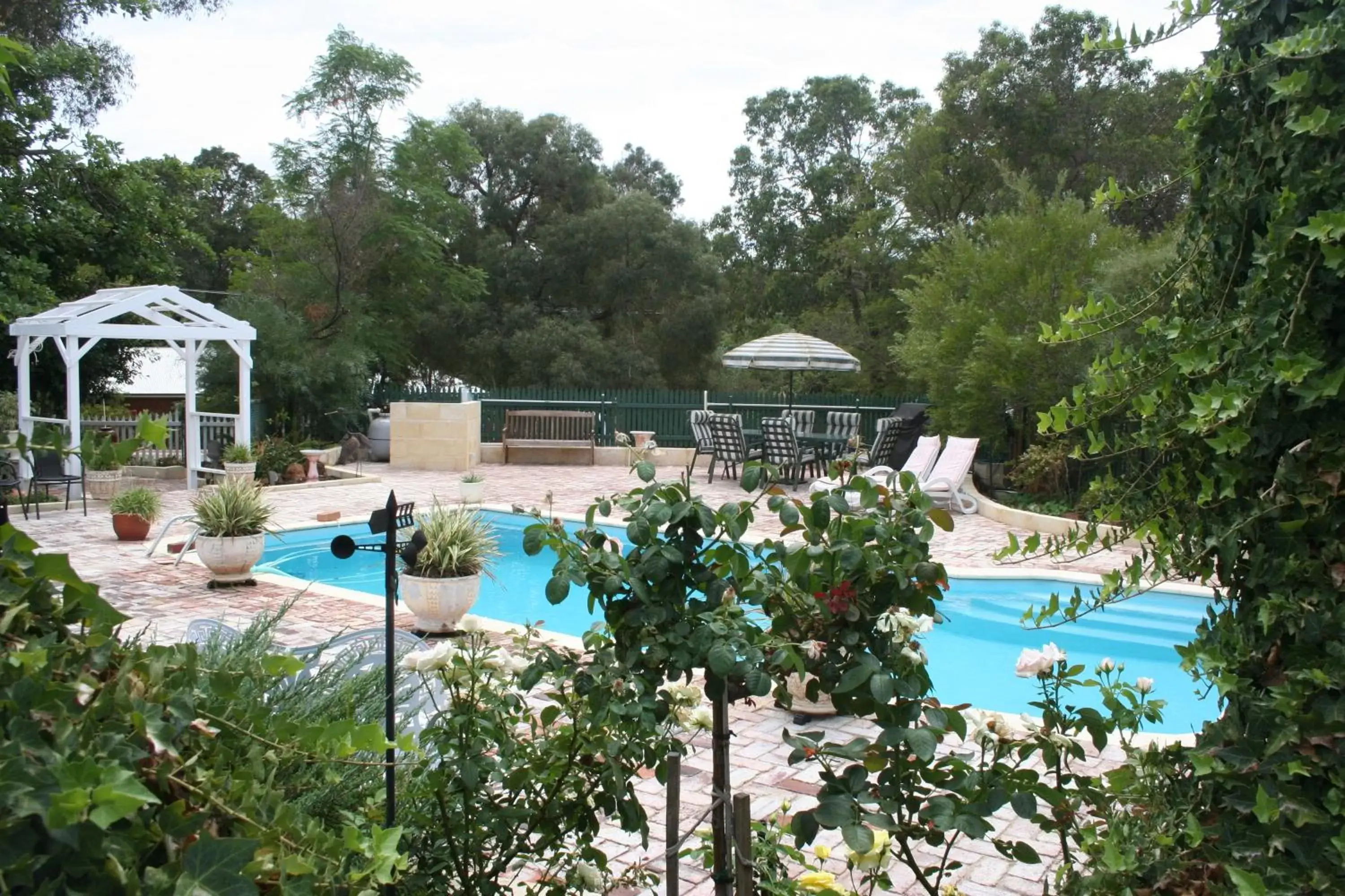 Swimming pool in Rosebridge House Bed & Breakfast Adult Retreat Swimming pool in Rosebridge House Bed & Breakfast Adult Retreat