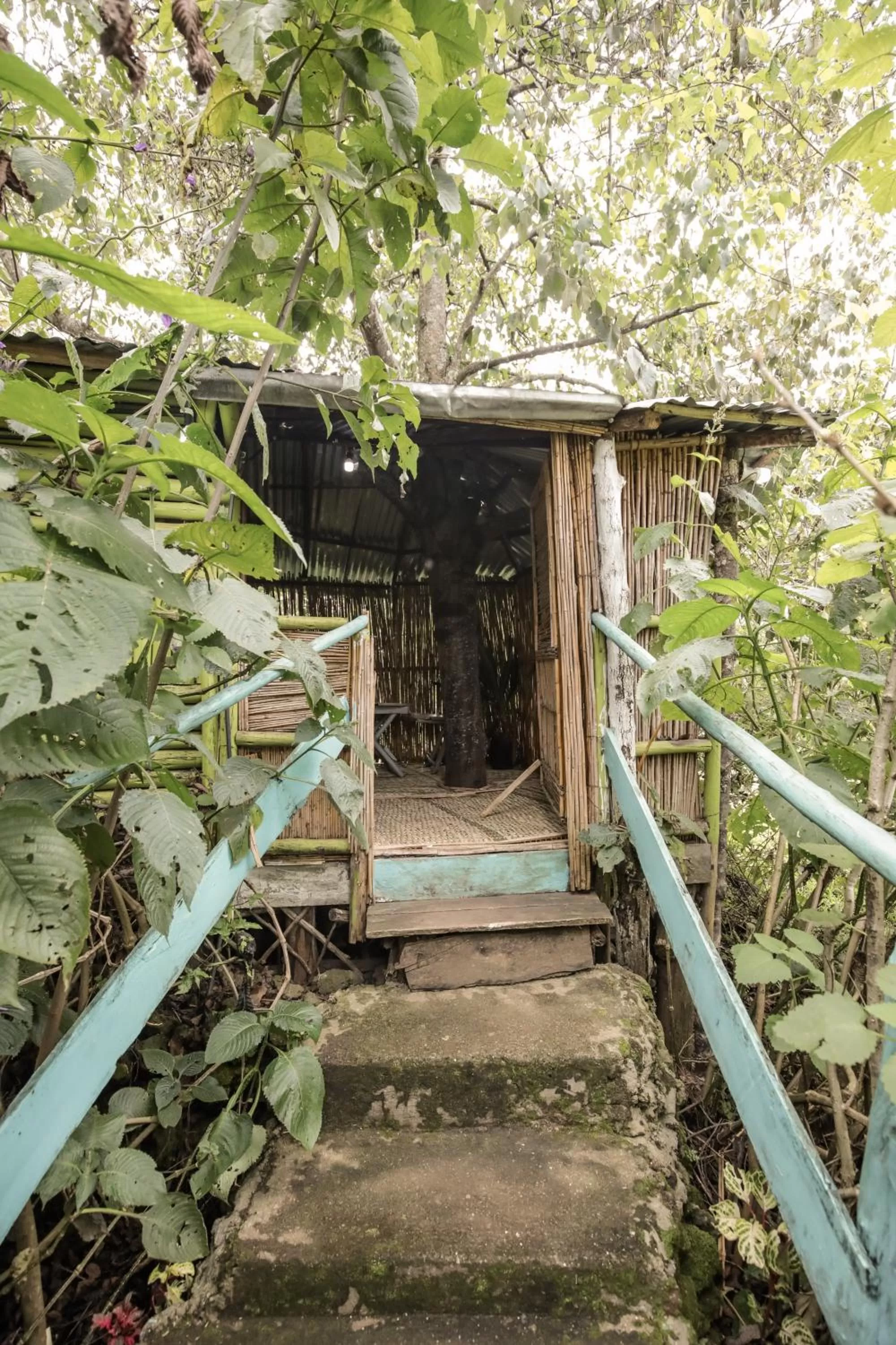 Property building in Fravan Eco Resort By Apogee