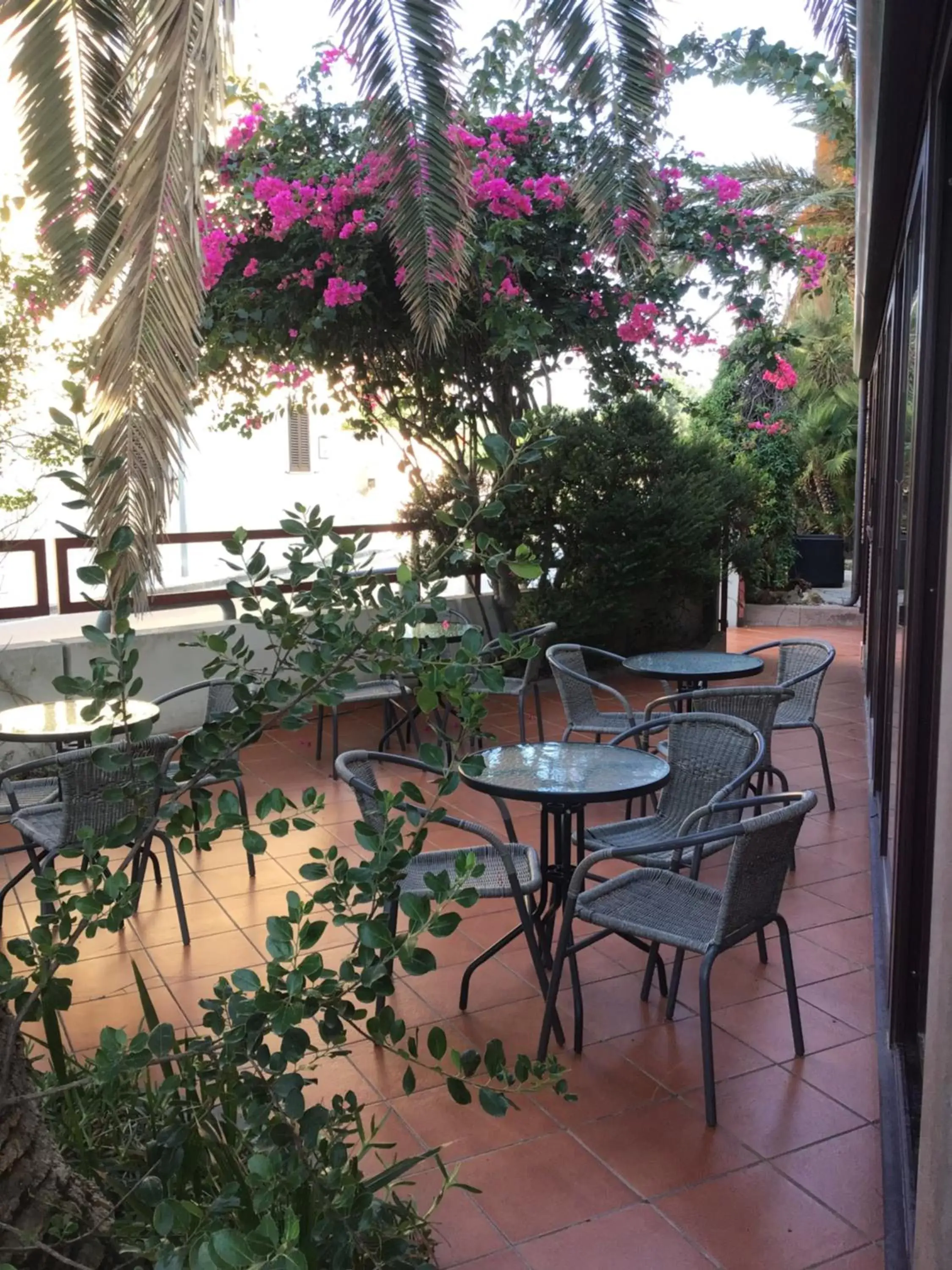 Garden view, Restaurant/Places to Eat in Hotel Mistral