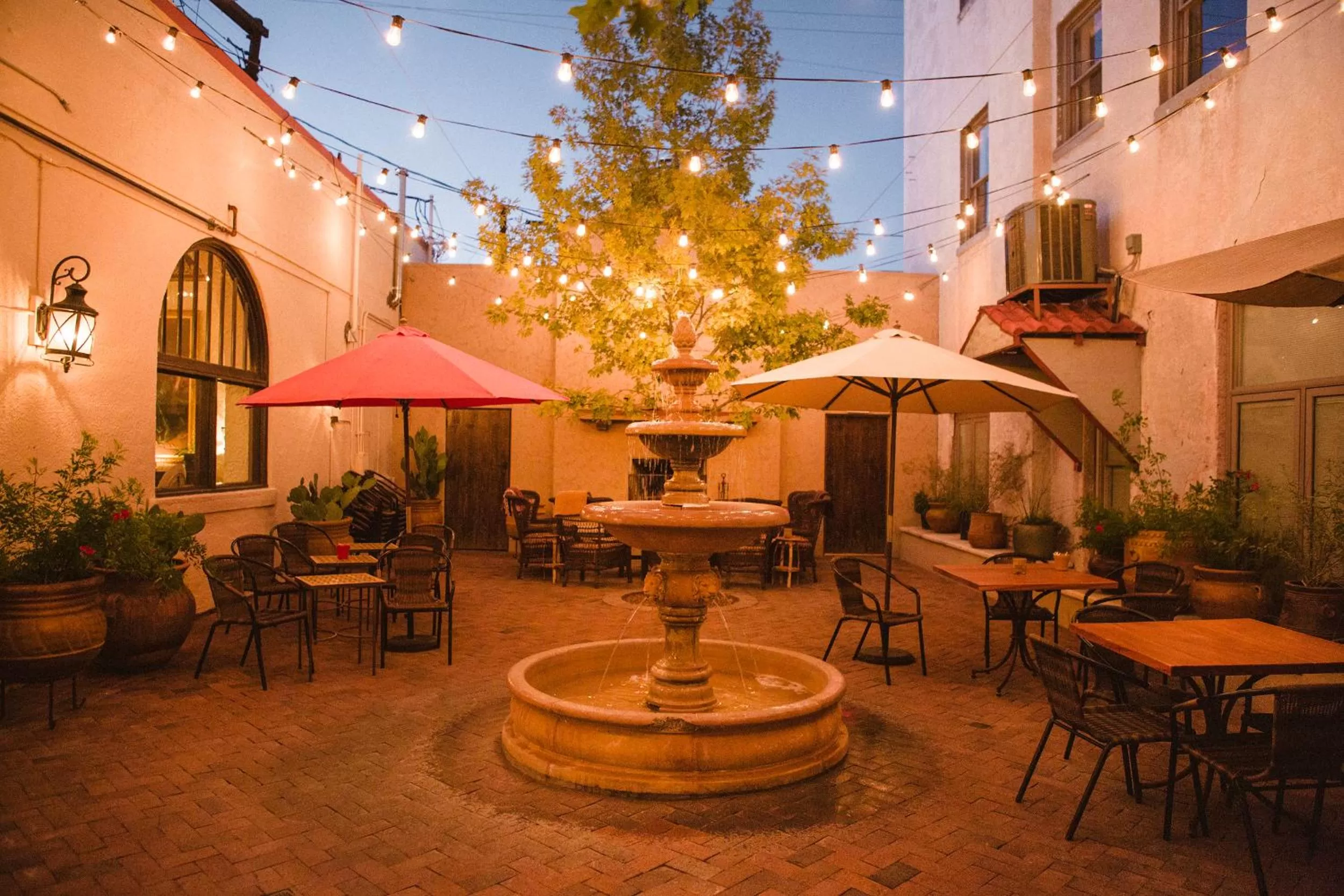 Garden in The Holland Hotel