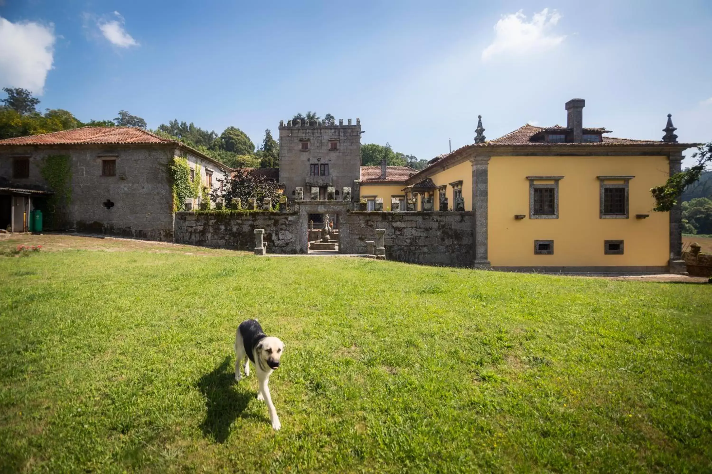 Property Building in Paço de S.Cipriano