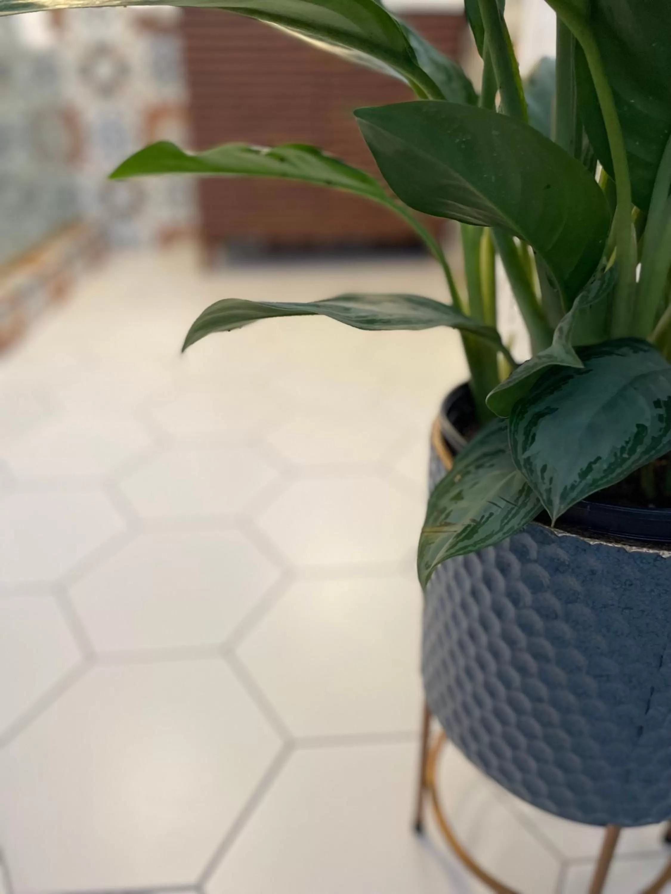 Bathroom in Flora House Denver