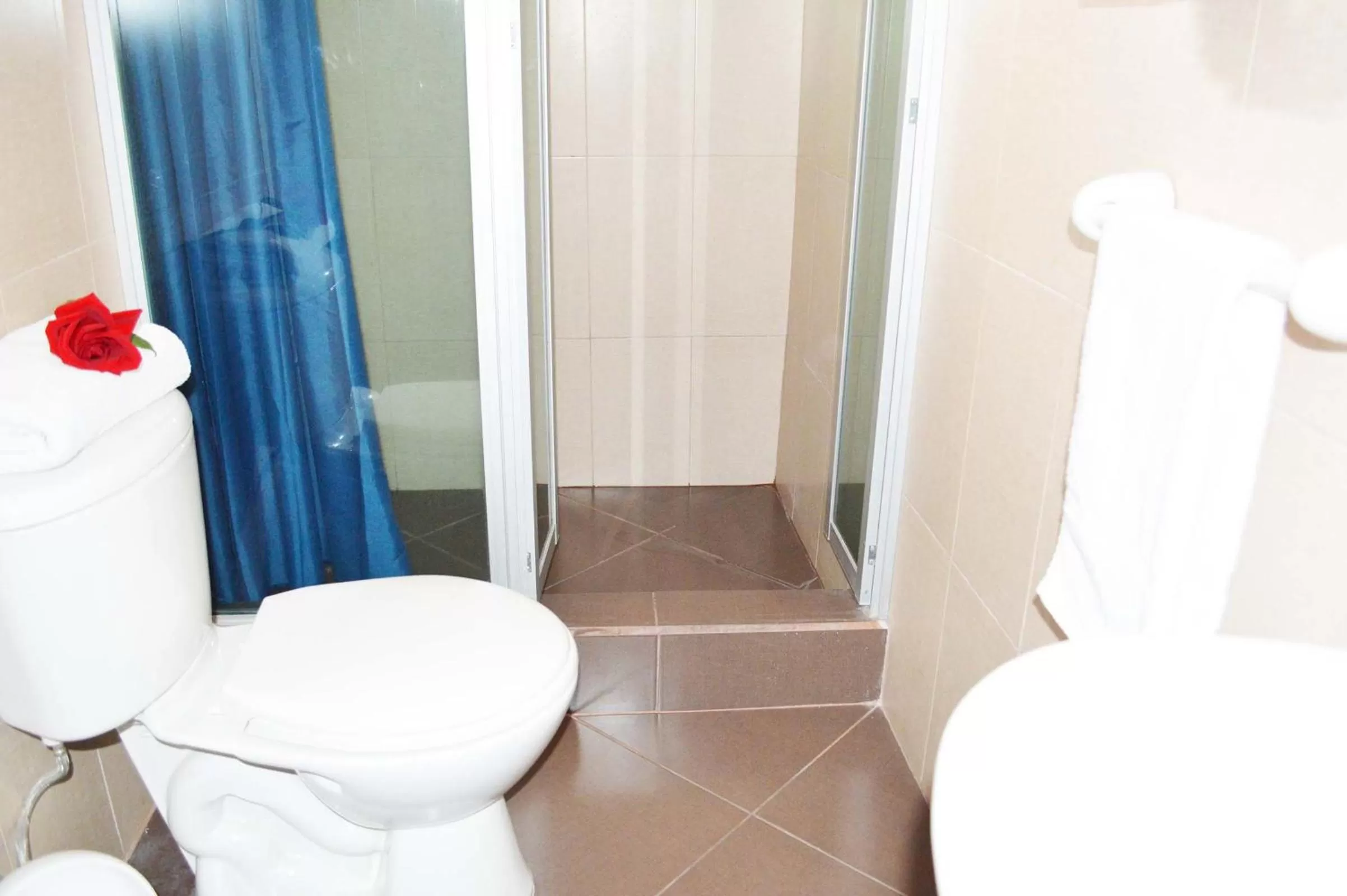 Bathroom in Hotel Plaza Victoria