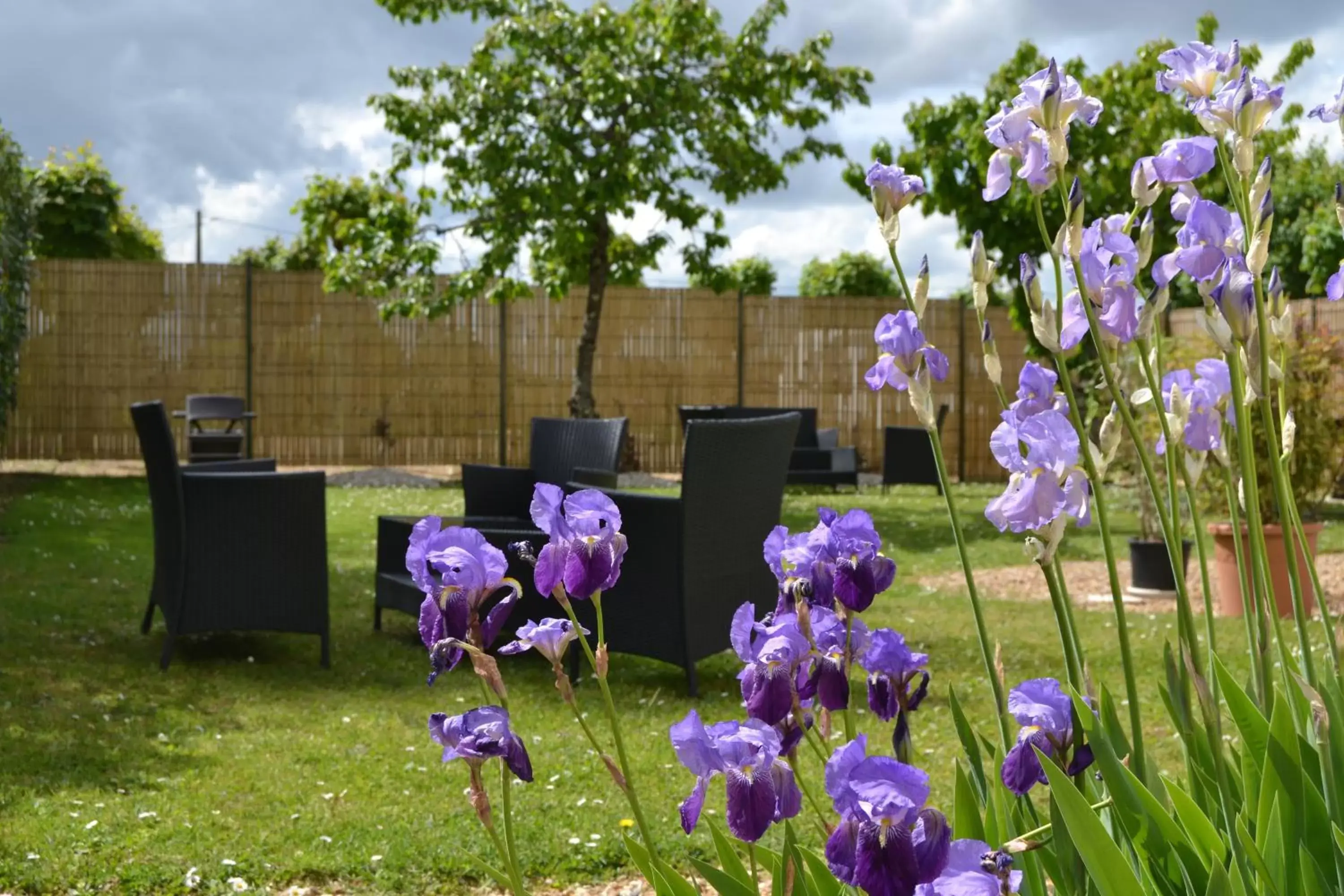 Garden in Best Western Le Vinci Loire Valley