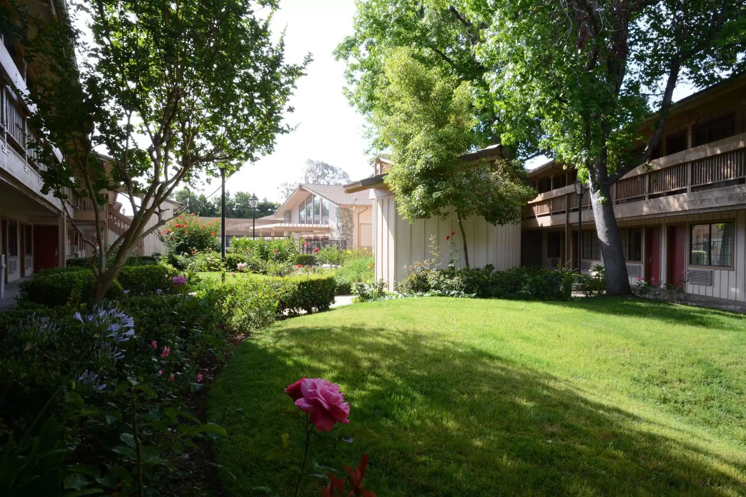 Property building in Red Roof Inn San Dimas - Fairplex Property building in Red Roof Inn San Dimas - Fairplex