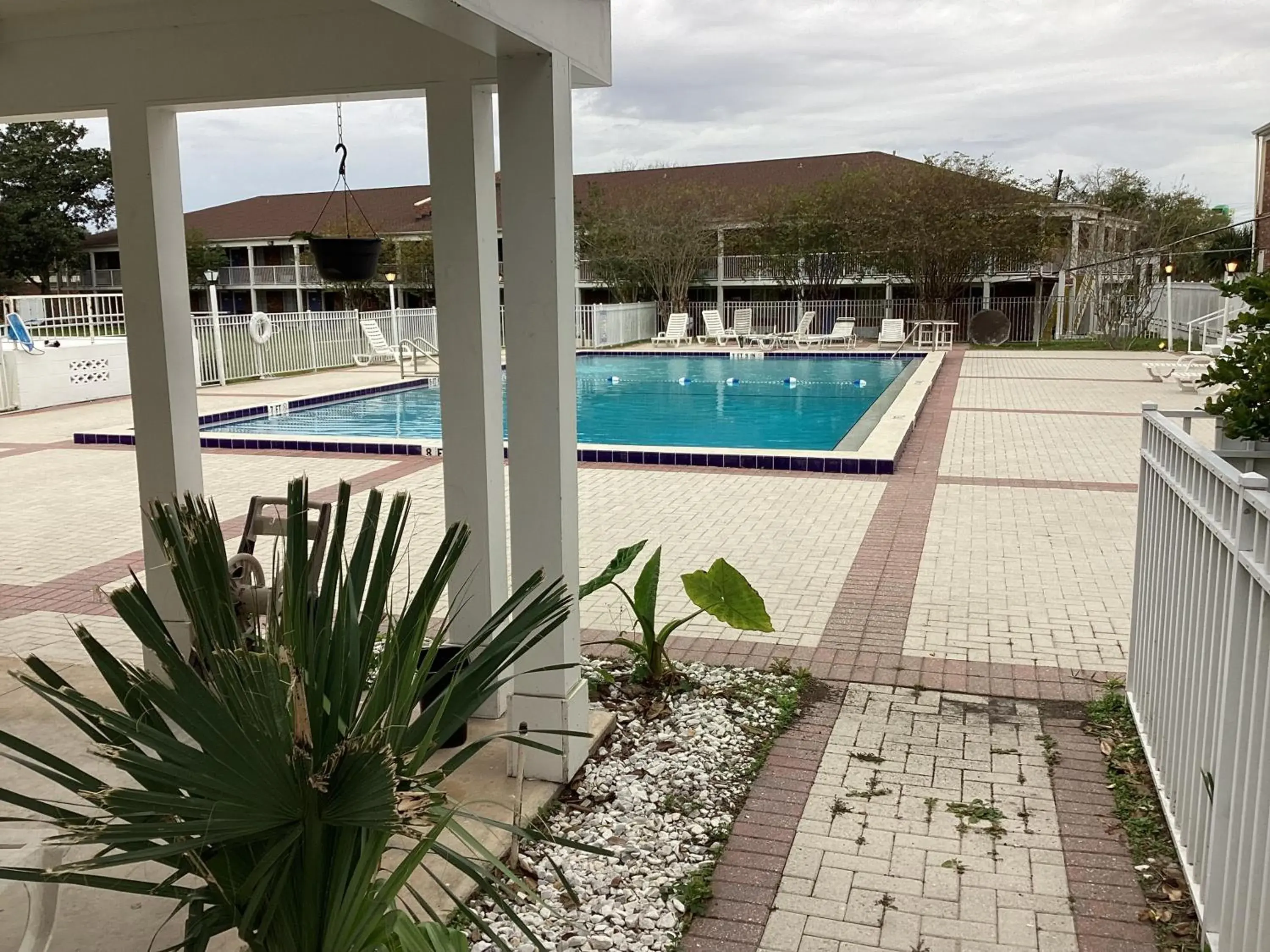 , Swimming Pool in Motel 6-Ocala, FL - Conference Center