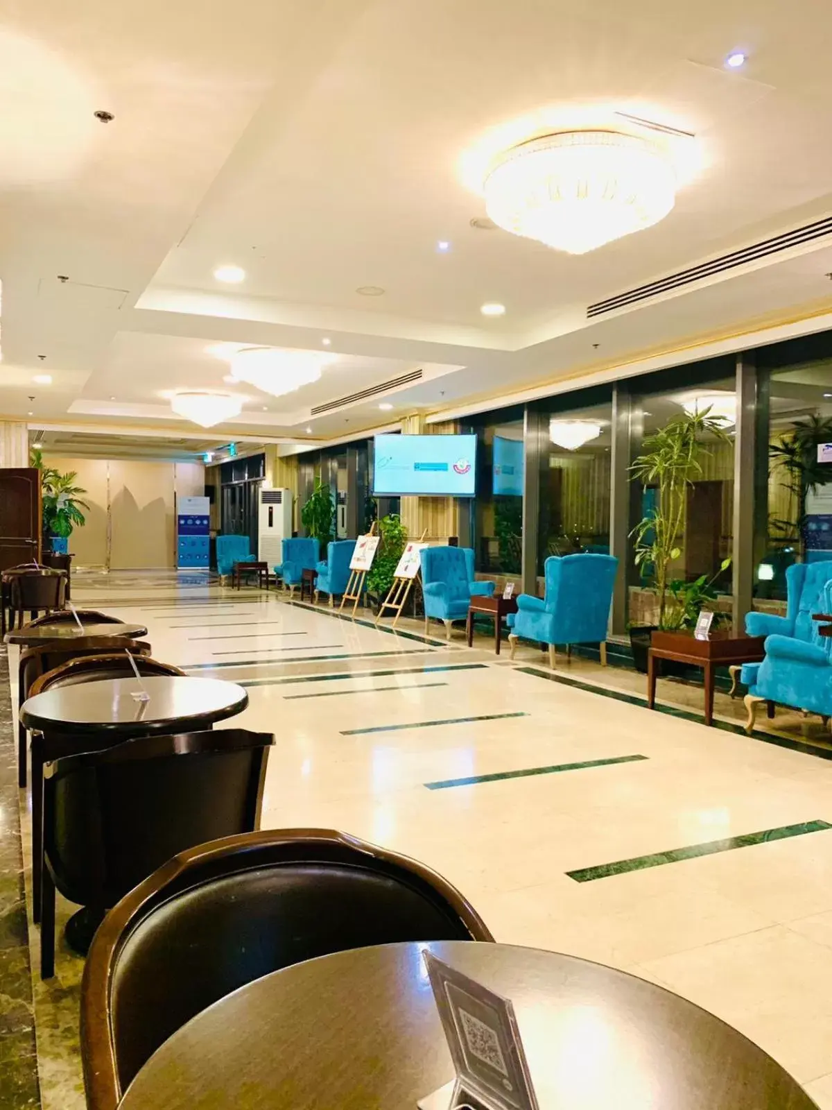 Communal lounge/ TV room, Restaurant/Places to Eat in Sapphire Plaza Hotel