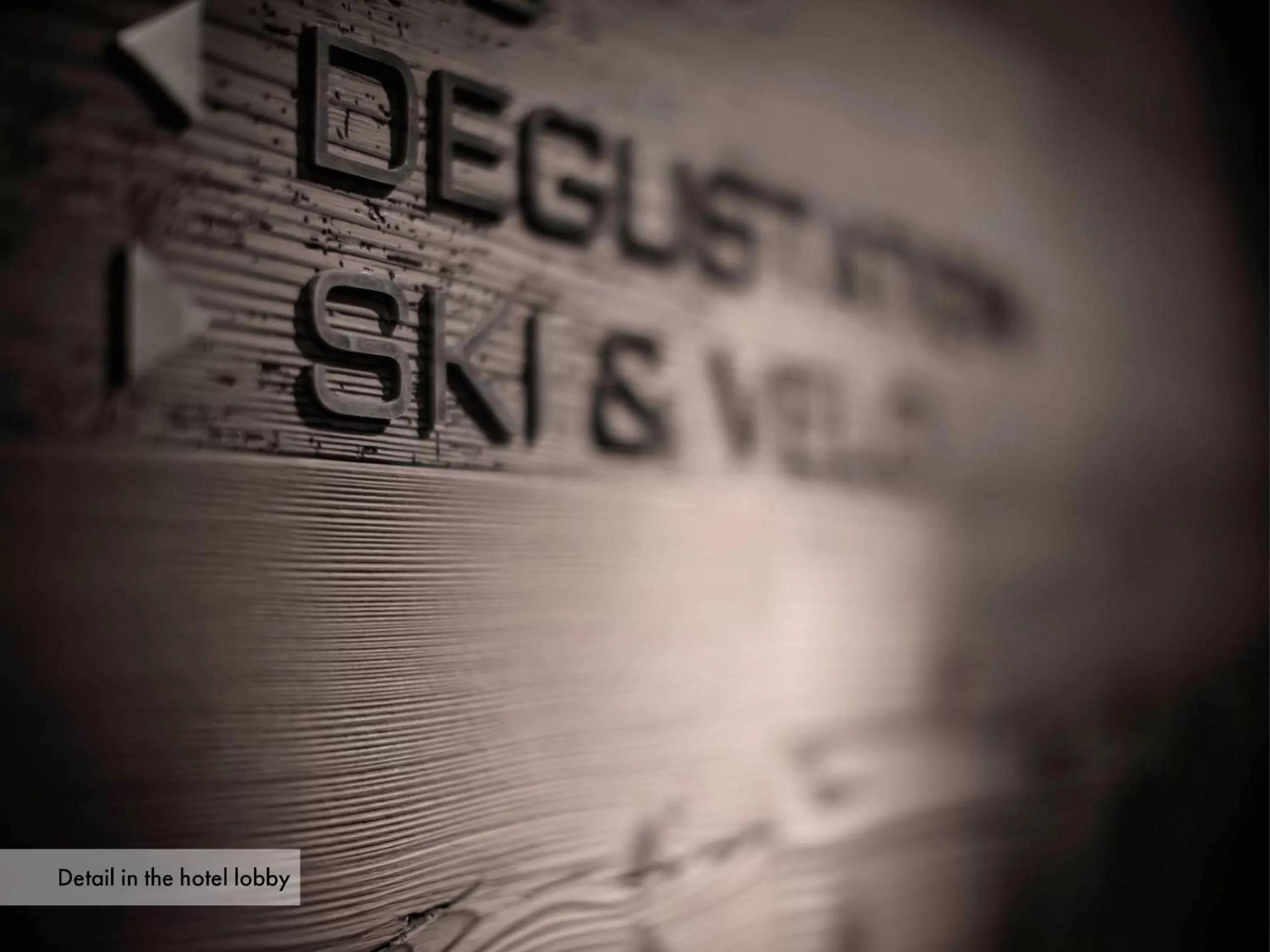 Skiing in Grischa - Das Hotel Davos