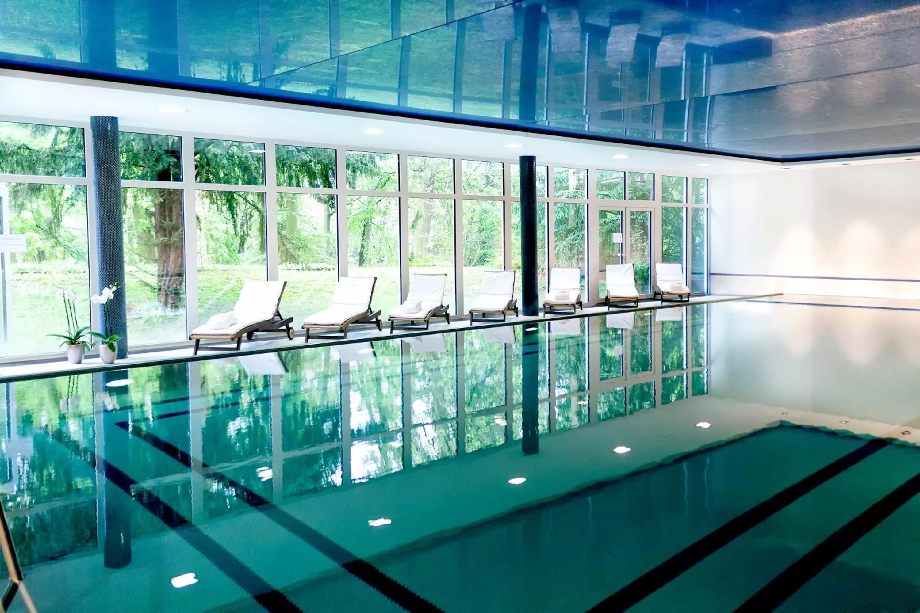 Swimming Pool in Dolce by Wyndham Bad Nauheim