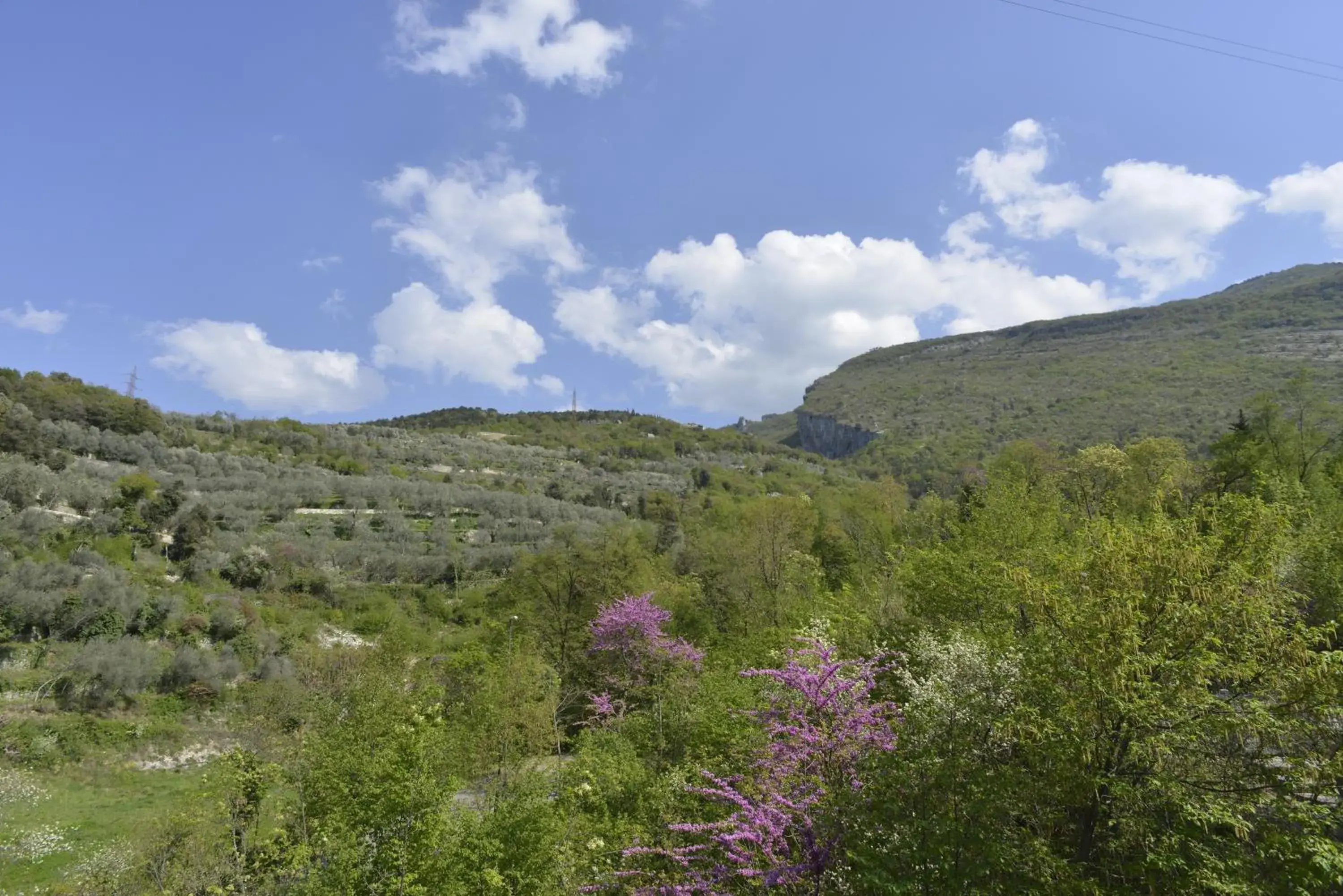 Nearby landmark, Natural Landscape in SeeLE Garda Hotel