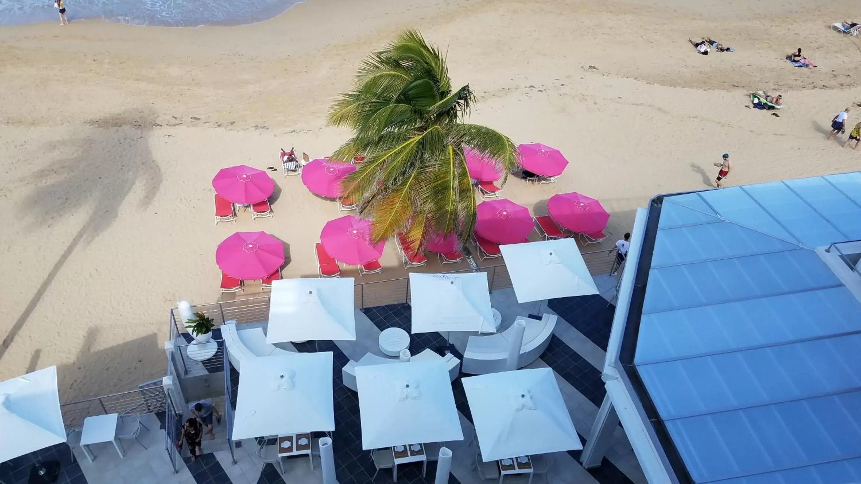 Beach in The Tryst Beachfront Hotel