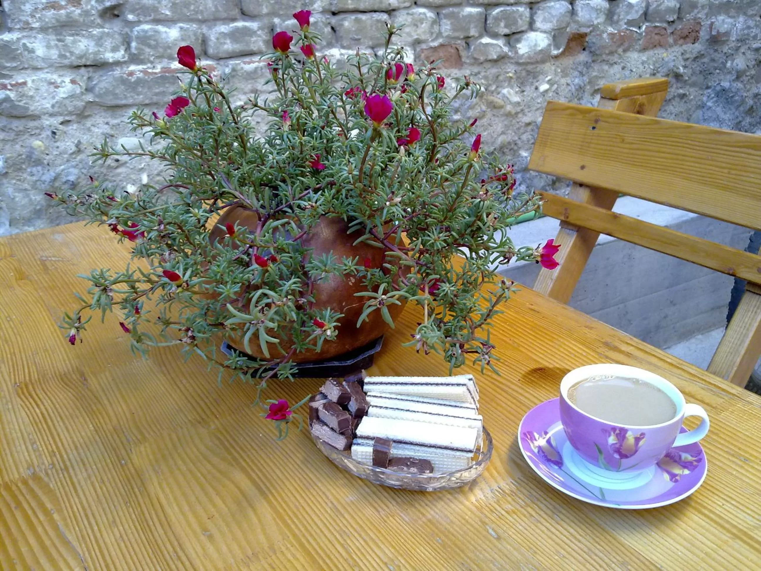 Garden in Pansion Centar