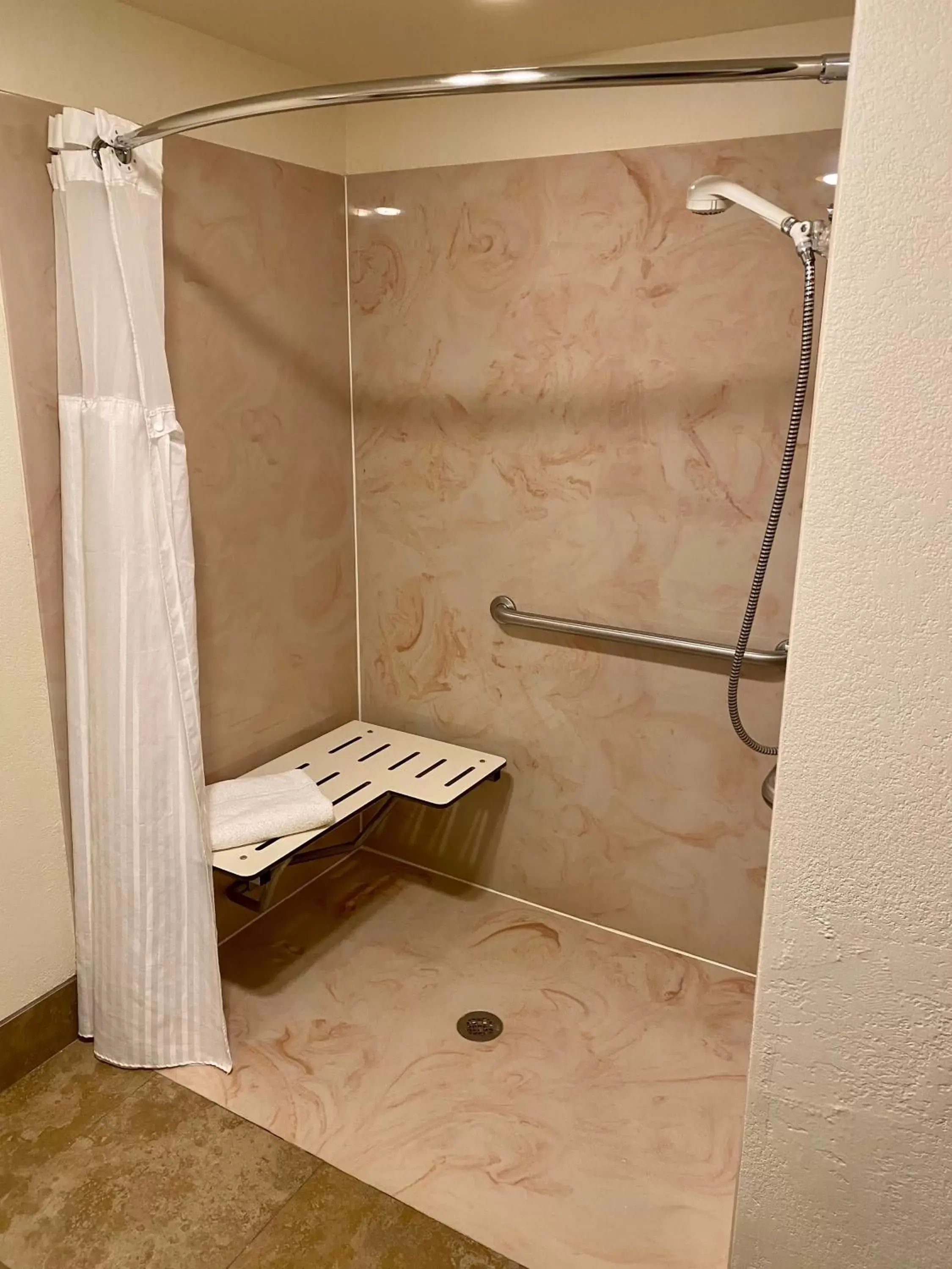 Shower, Bathroom in Radisson Hotel Colorado Springs