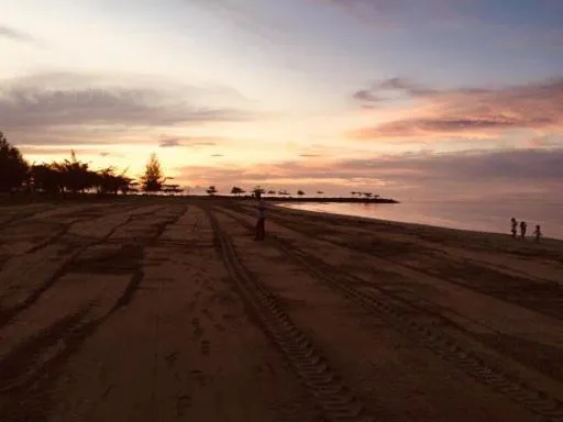 Natural landscape in Palm Beach Resort & SPA