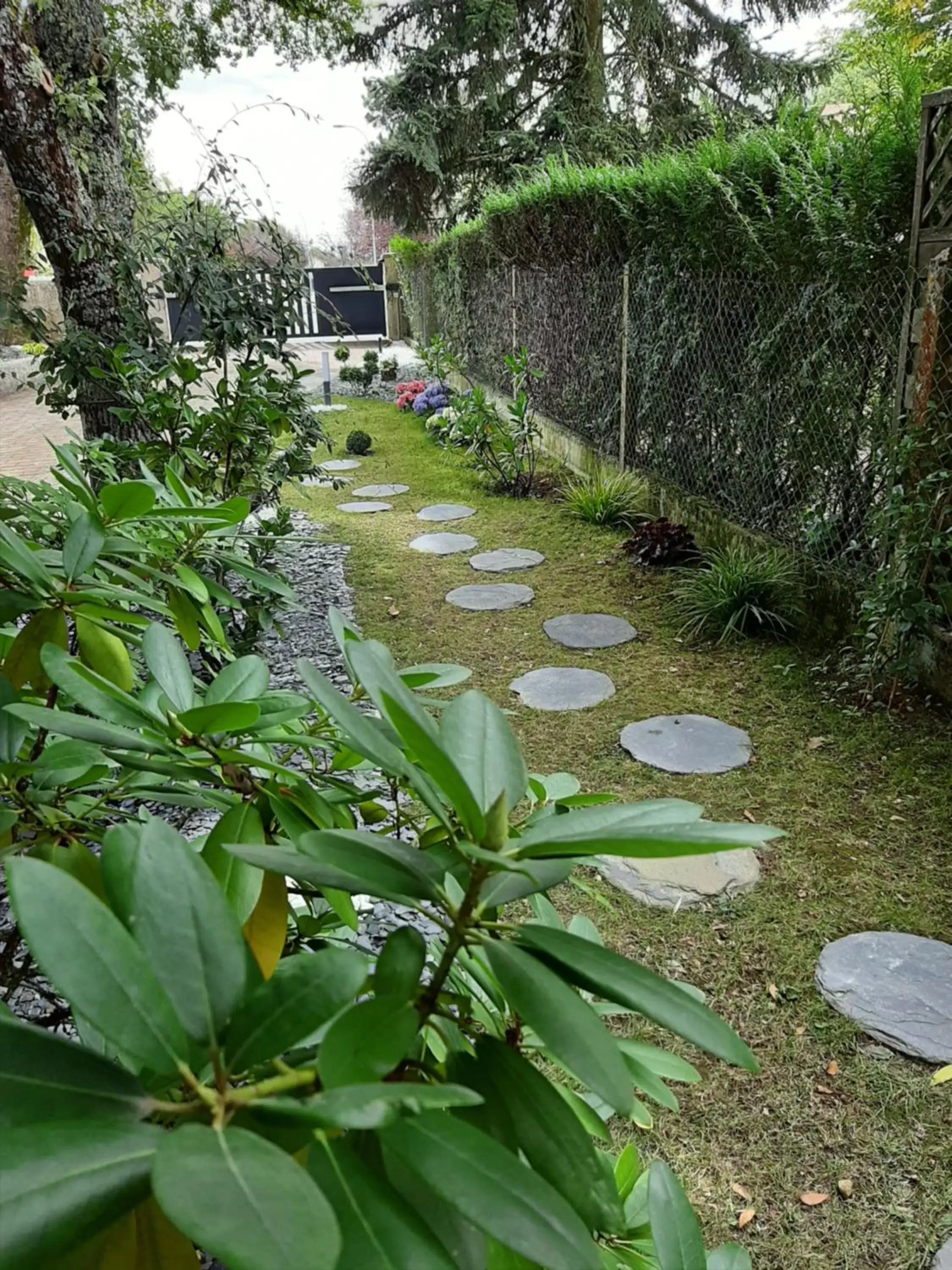 Garden in SAKURA