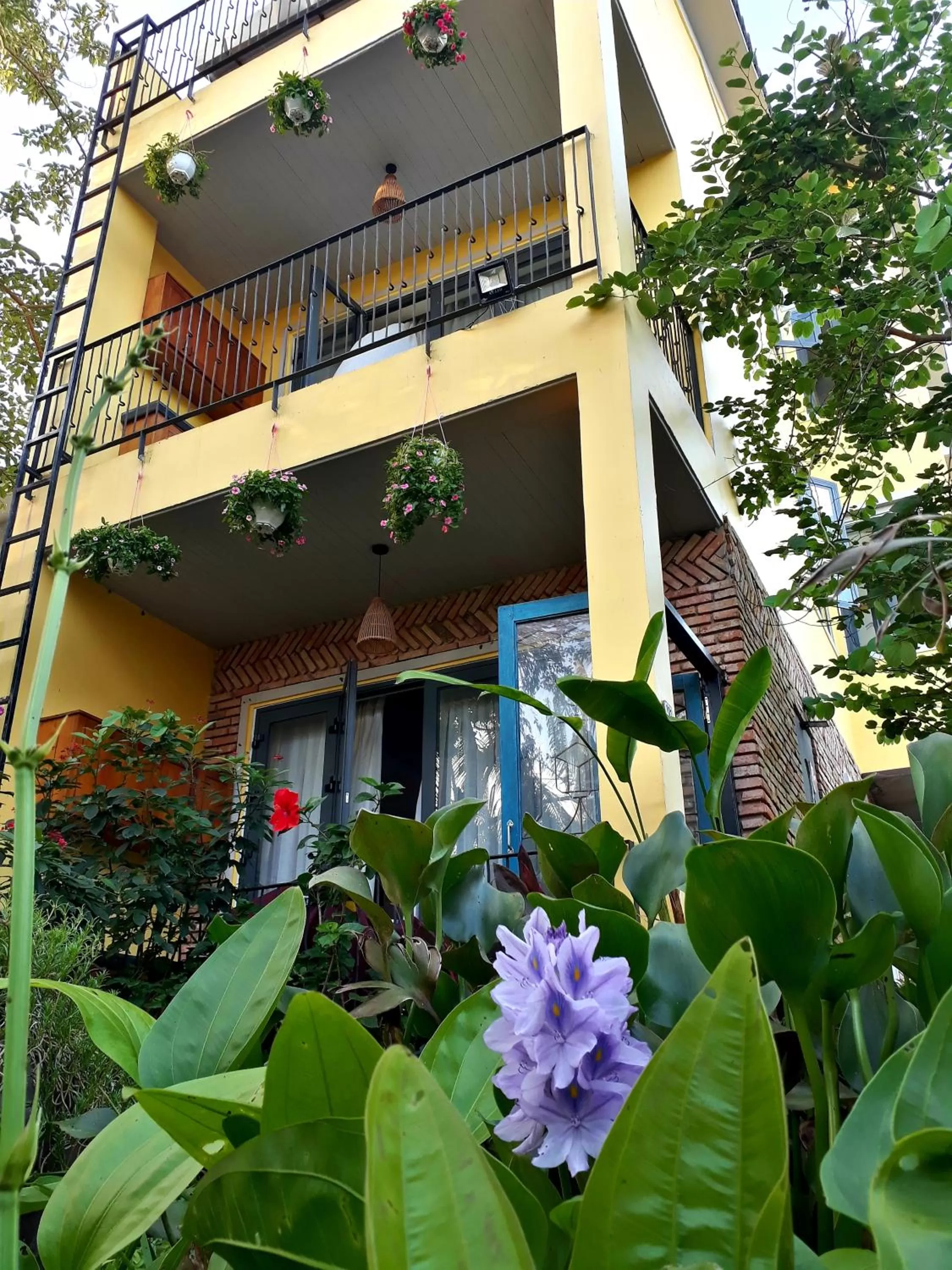 Garden in Pink Tulip Hoi An