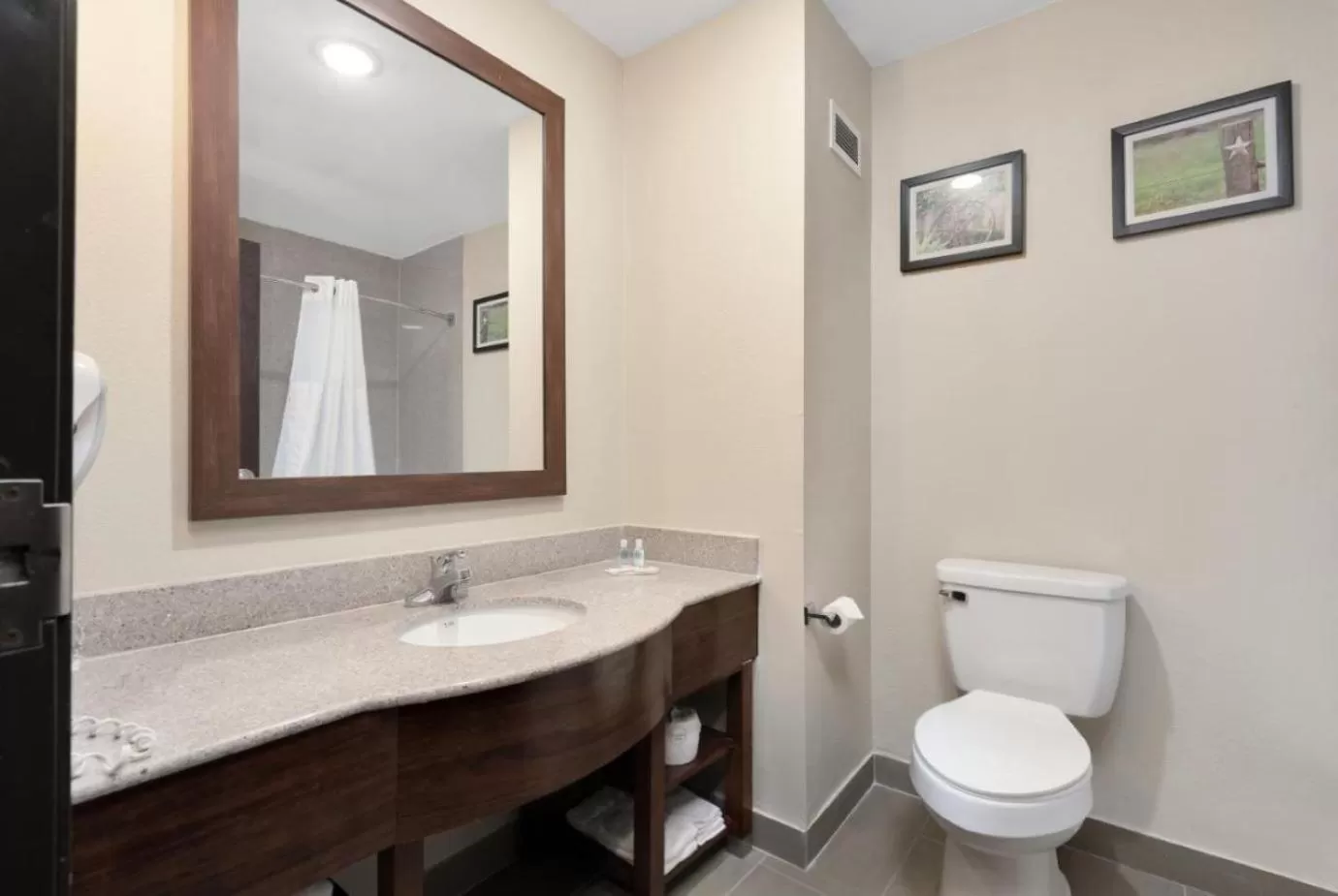 Bathroom in Comfort Suites Abilene Central