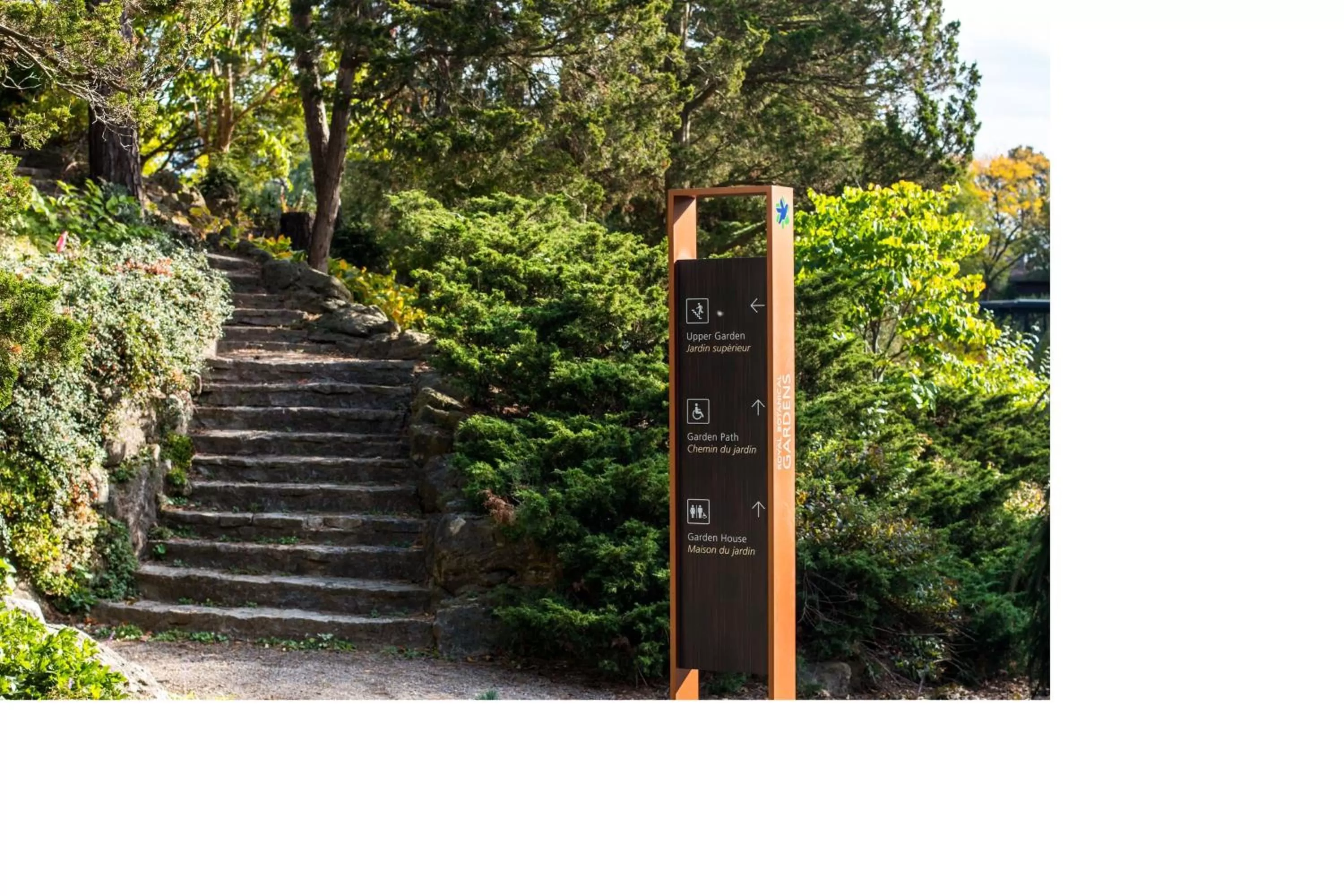 Area and facilities in Staybridge Suites Hamilton - Downtown by IHG