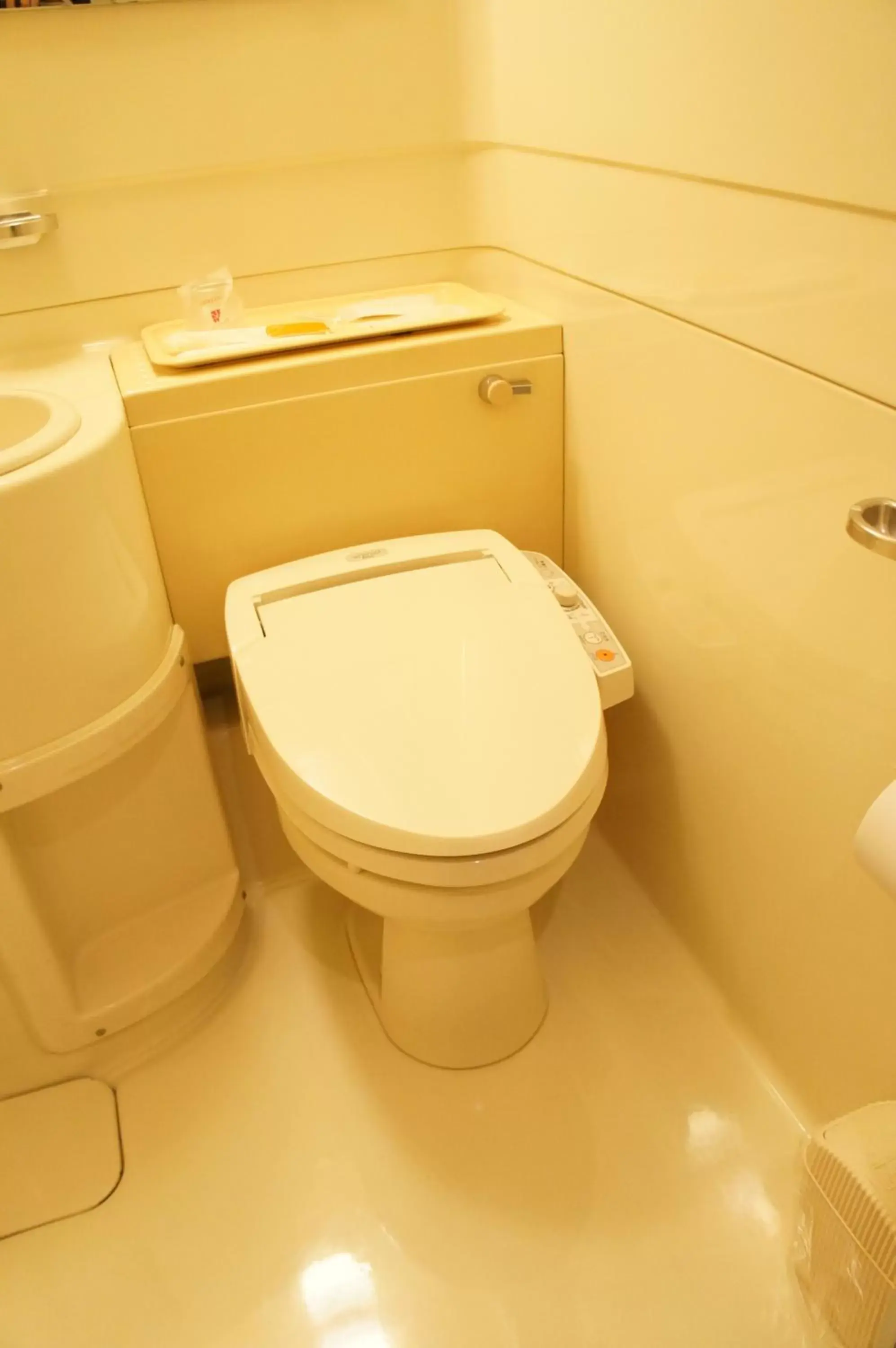 Toilet, Bathroom in Hotel Sunroute Matsuyama