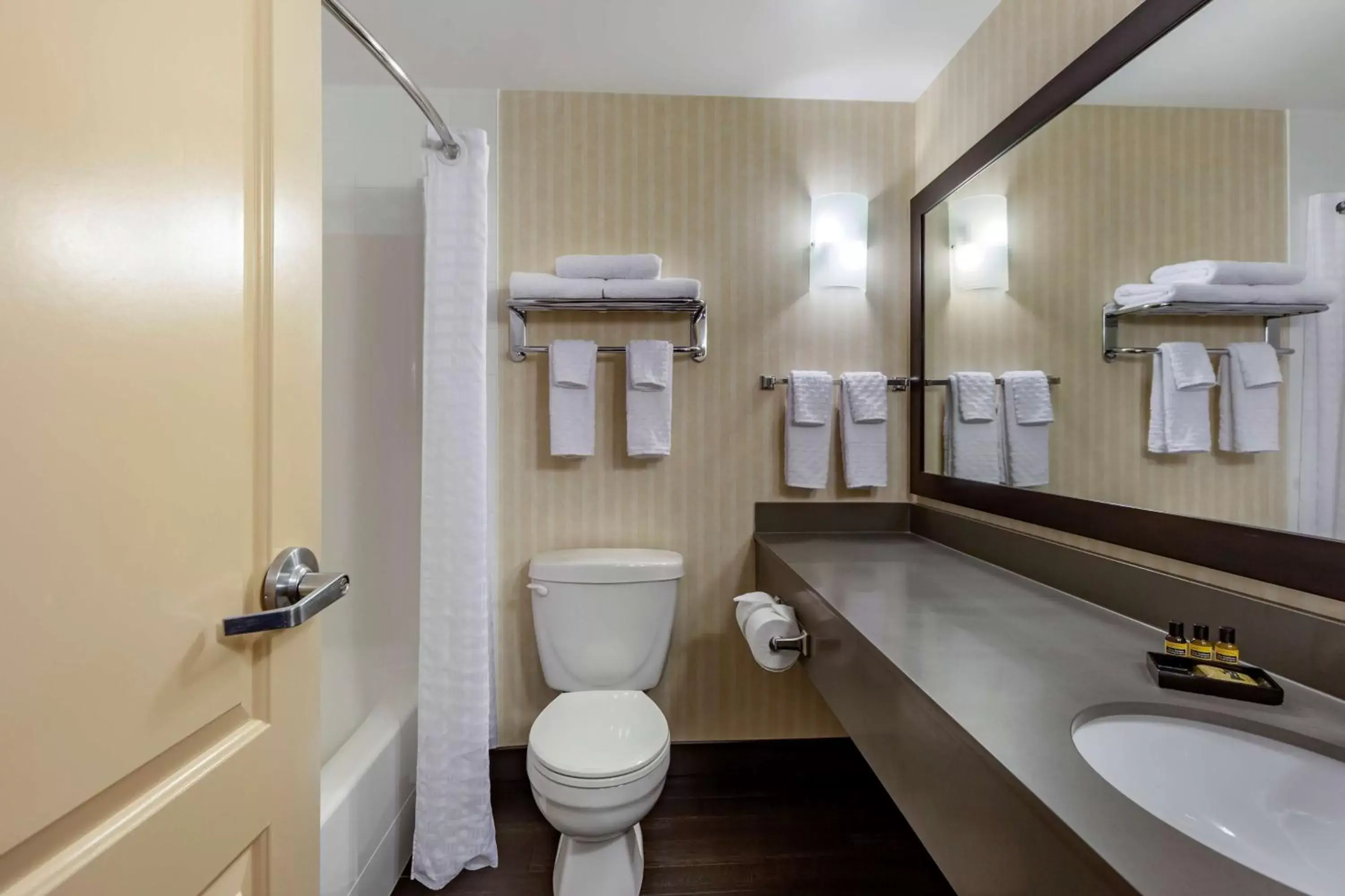 Bathroom in Best Western Plus Meridian