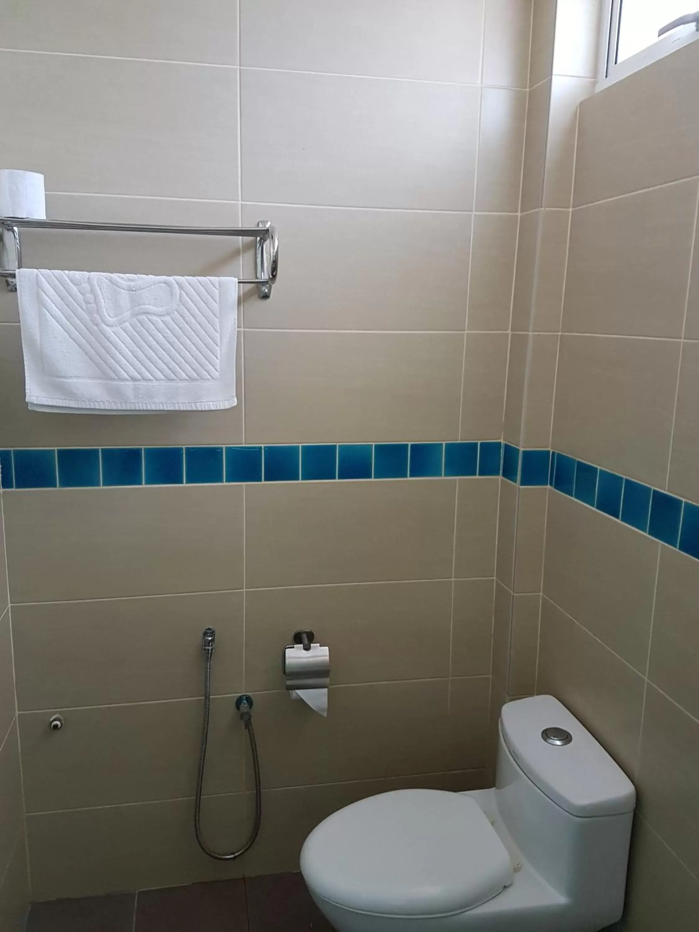 Toilet, Bathroom in Hotel Asia