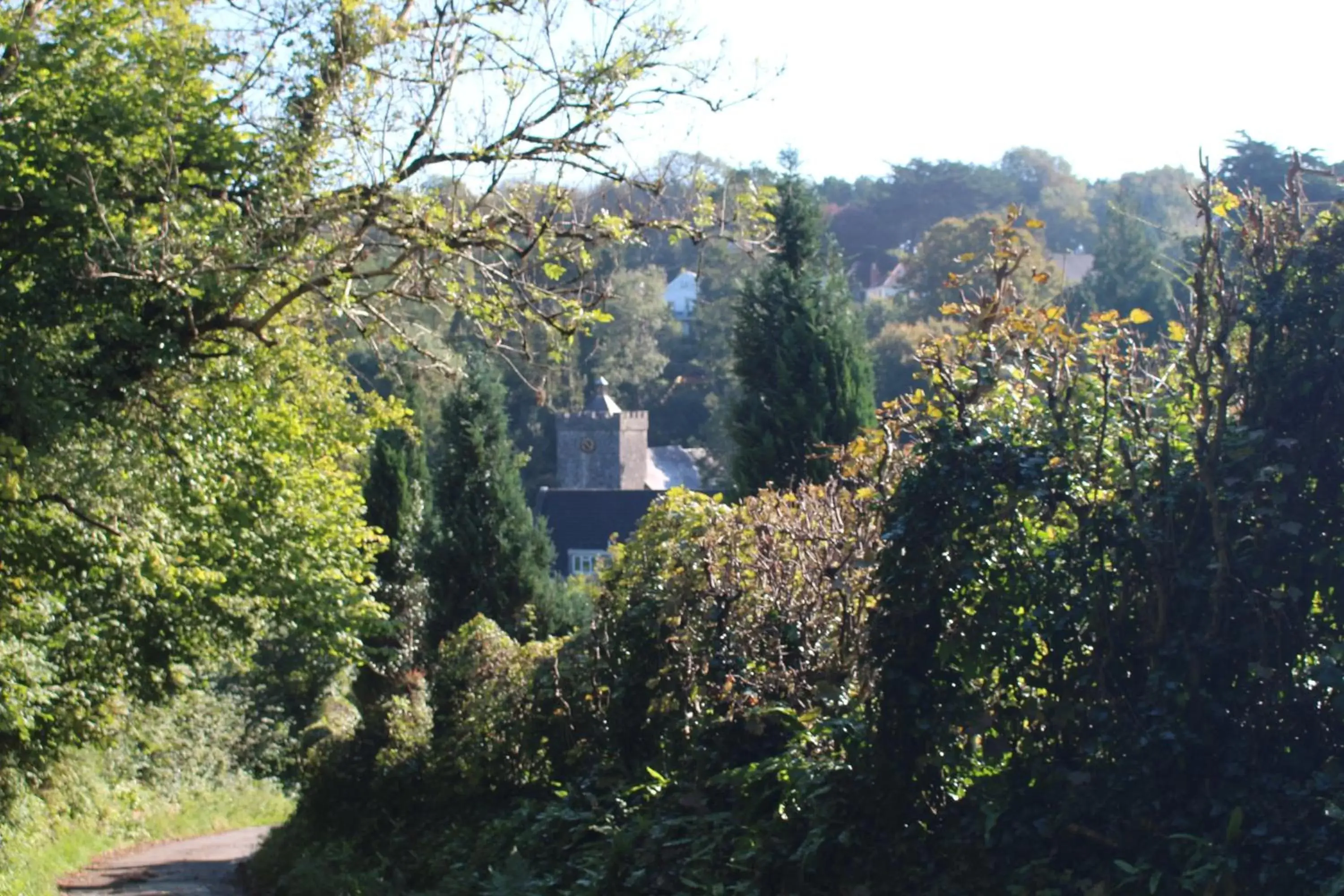 Nearby landmark in The Gower Hotel