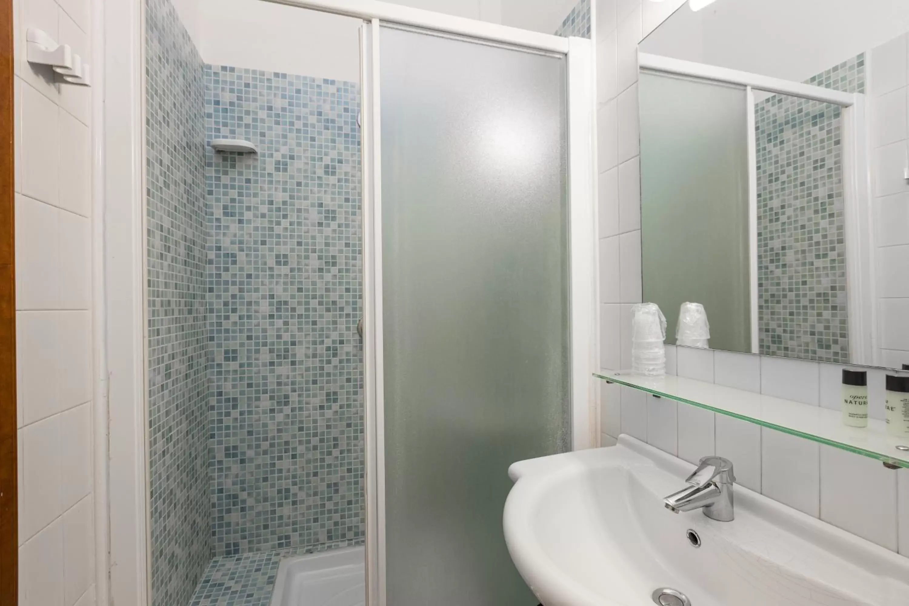 Shower, Bathroom in Hotel Nuova Grosseto