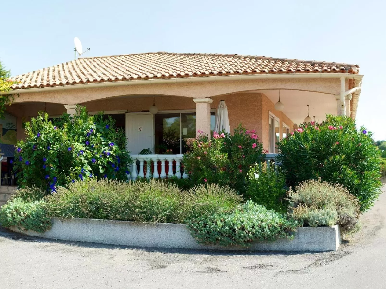 Garden in Le Grand Jardin