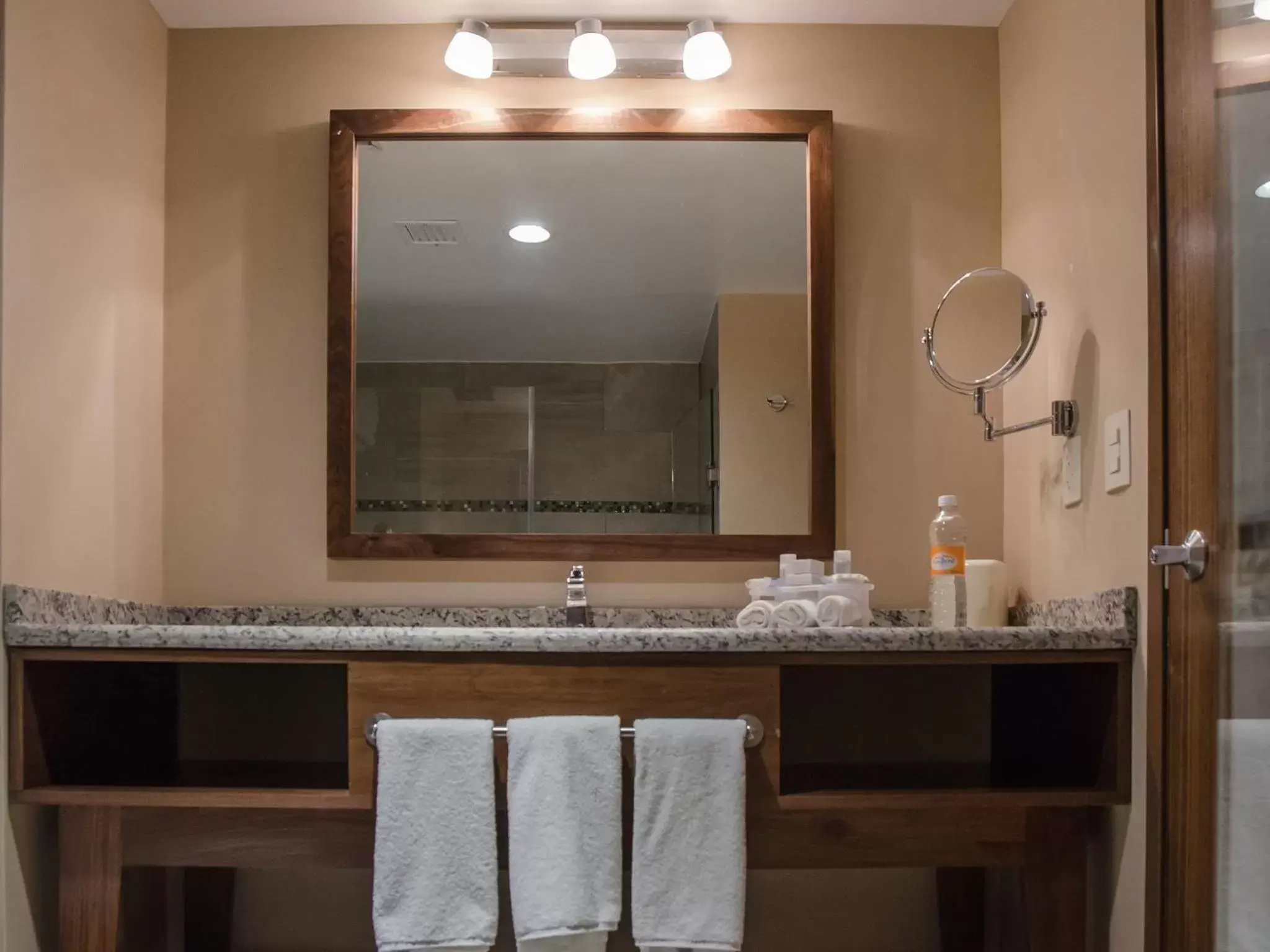 Bathroom in Holiday Inn Express and Suites Celaya, an IHG Hotel