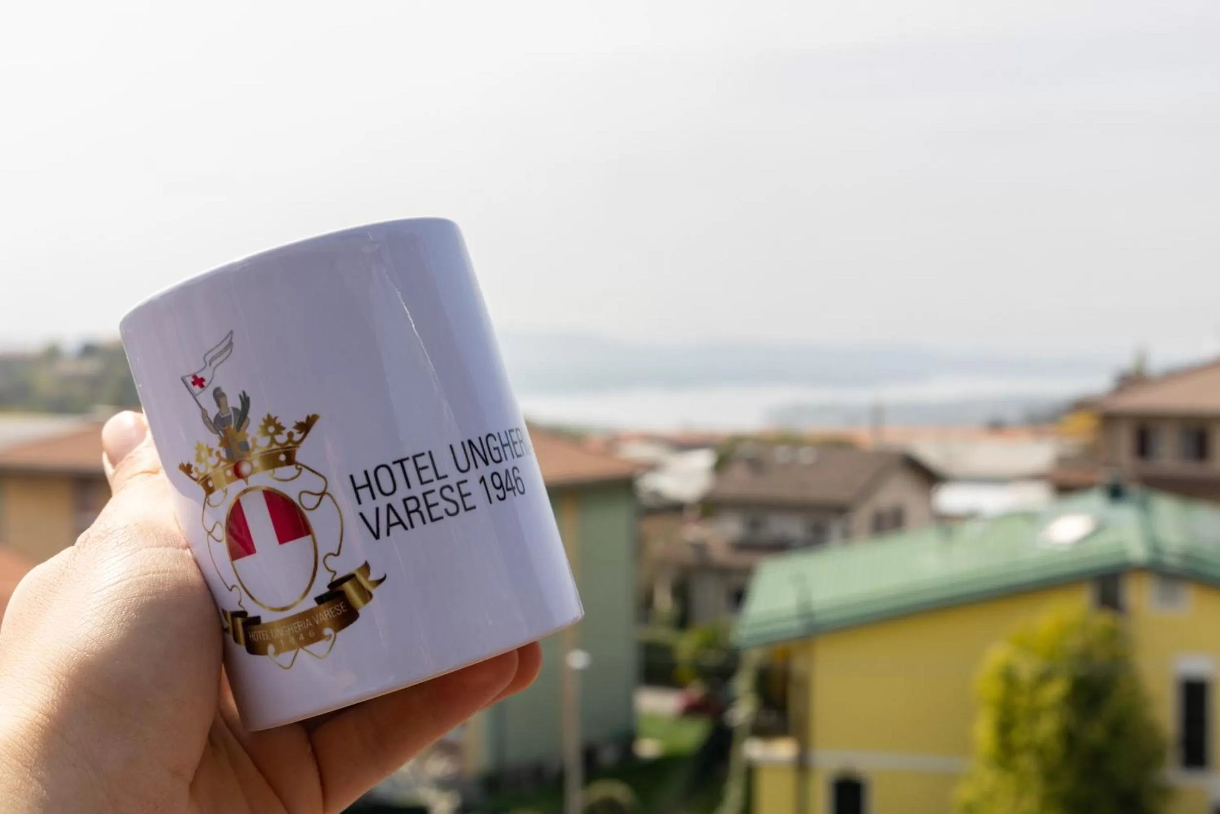 View (from property/room) in Hotel Ungheria Varese 1946