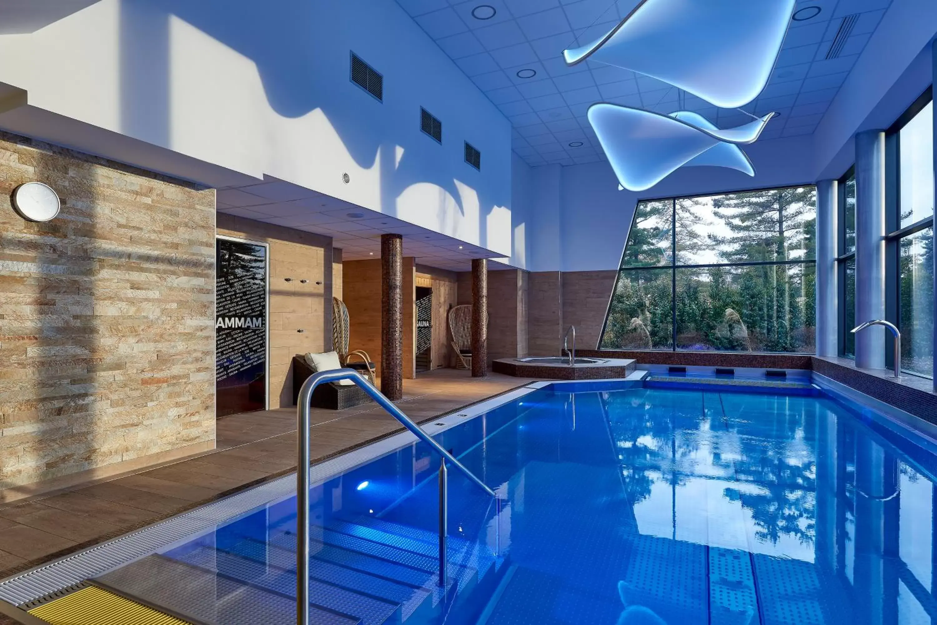 Spa and wellness centre/facilities, Swimming Pool in Mercure Bale Mulhouse Aeroport