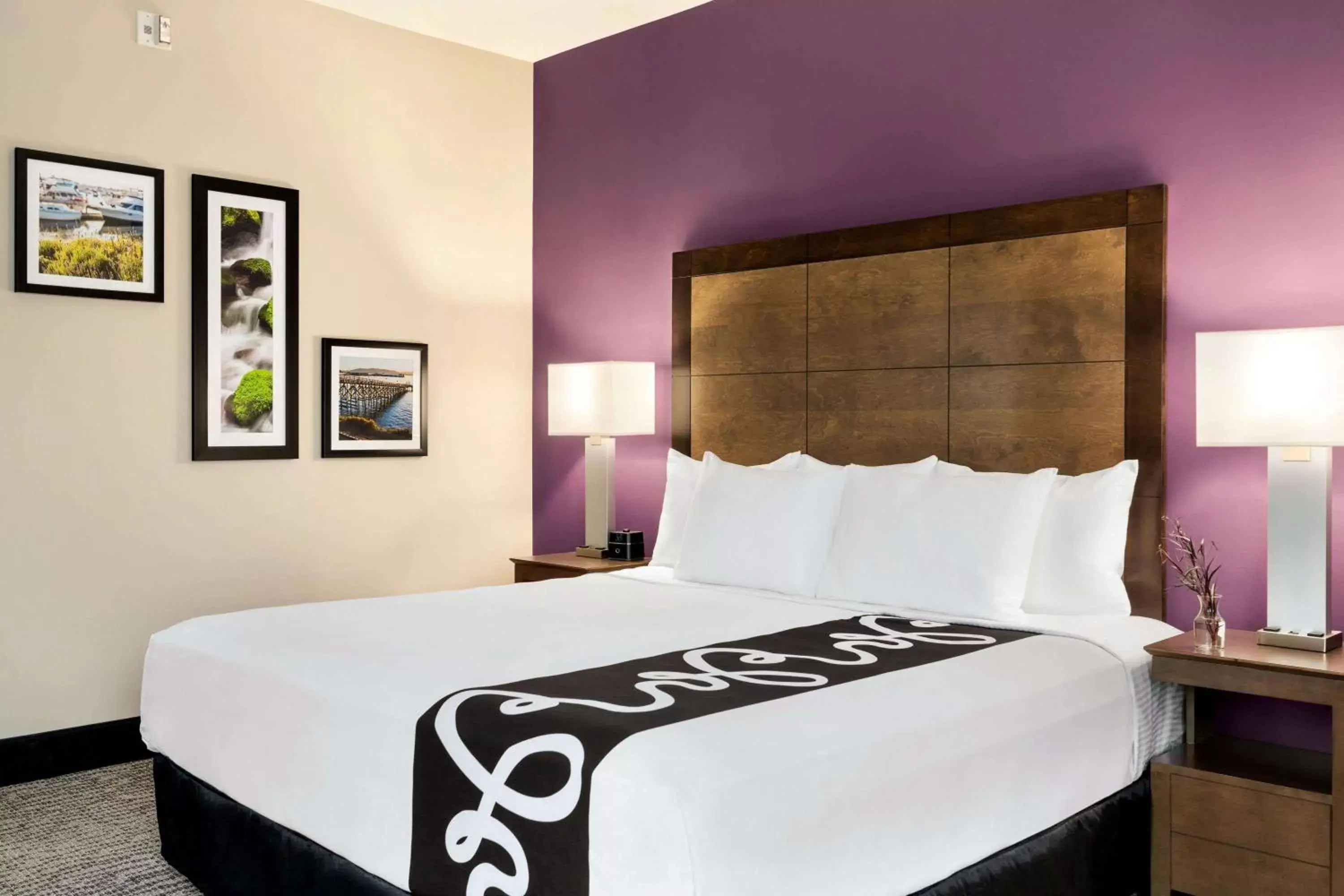 Deluxe King Room with Hearing Impaired Access - Non-Smoking in La Quinta Inn & Suites by Wyndham Burlington Deluxe King Room with Hearing Impaired Access - Non-Smoking in La Quinta Inn & Suites by Wyndham Burlington