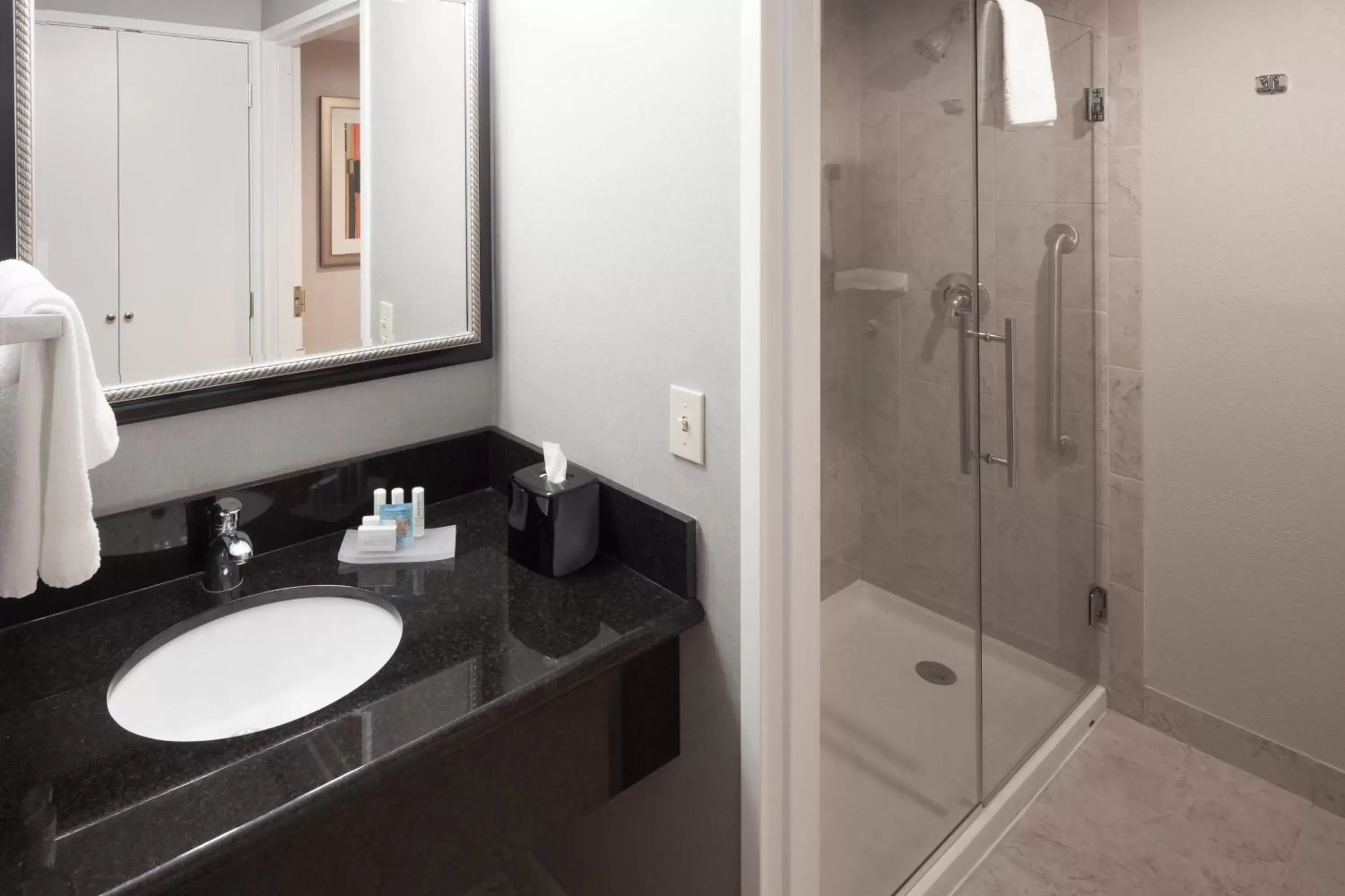 Bathroom in Courtyard by Marriott Waco