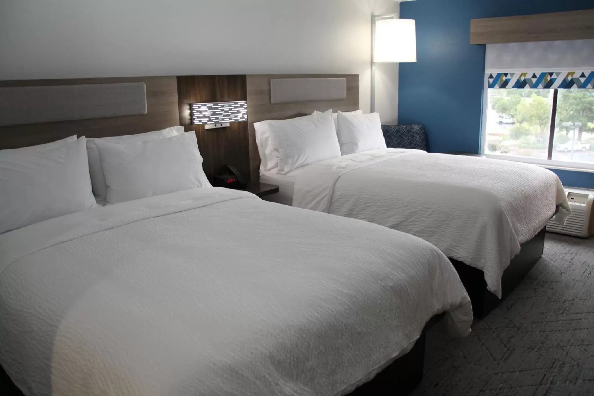 Photo of the whole room, Bed in Holiday Inn Express - Rocky Mount - Sports Center, an IHG Hotel