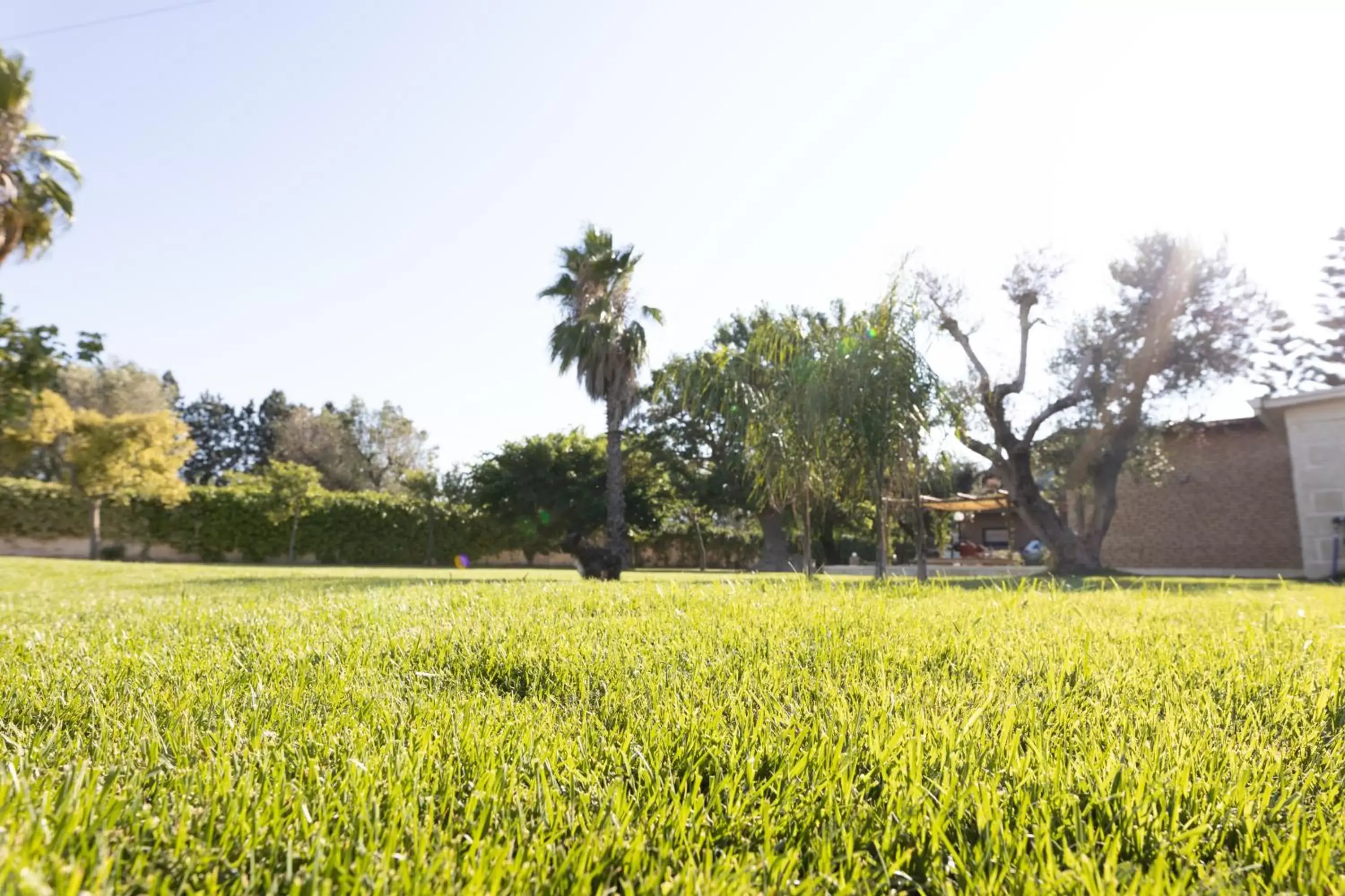 Day, Garden in AgriFamily Village