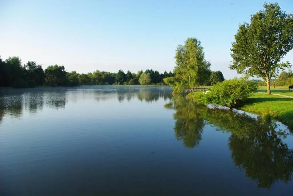 Garden, Lake View in L'Oree des Chenes, The Originals Relais (Relais du Silence)