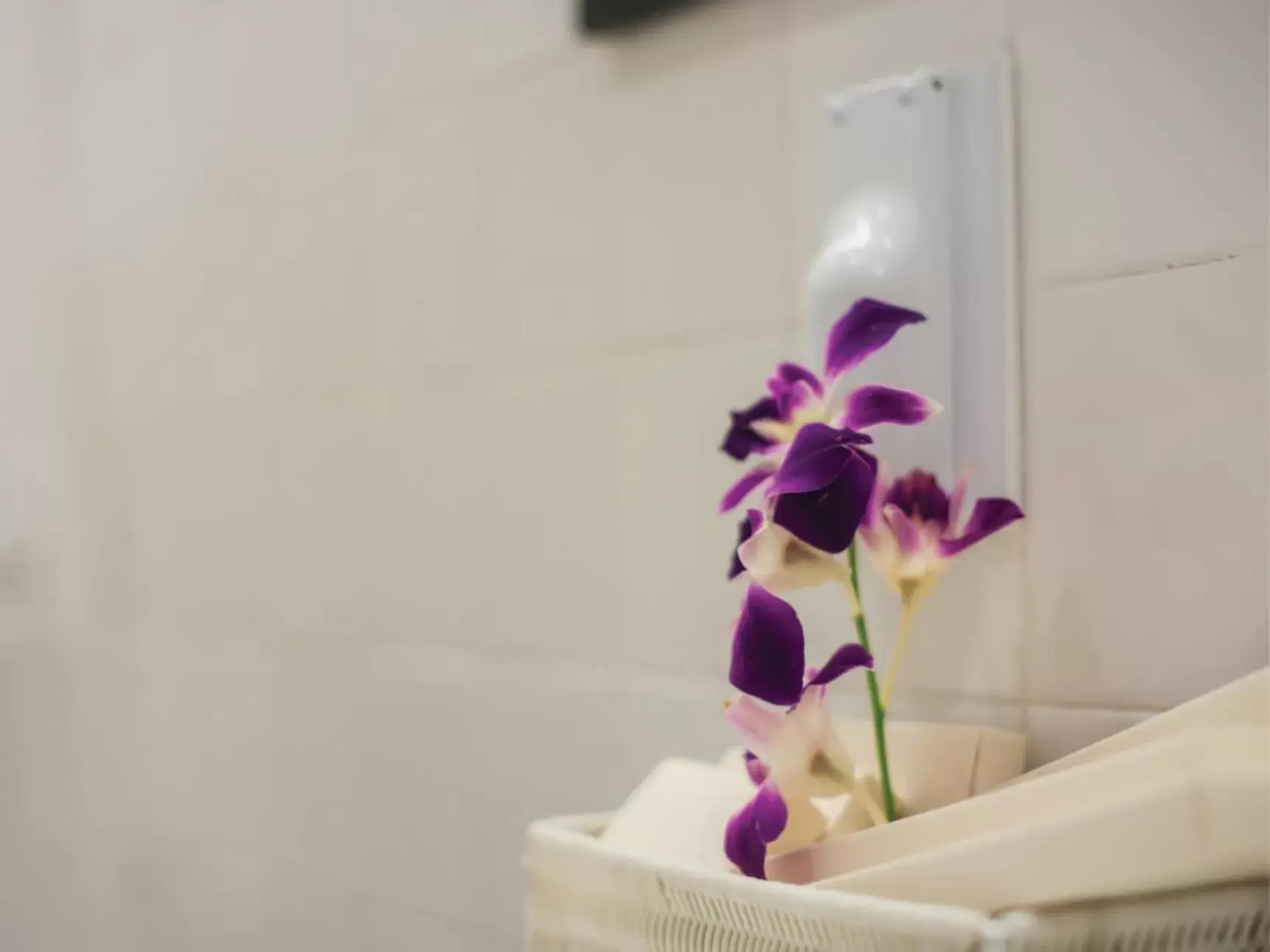 Shower, Bathroom in The Alcove Library Hotel